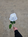 White Real Feel Rose