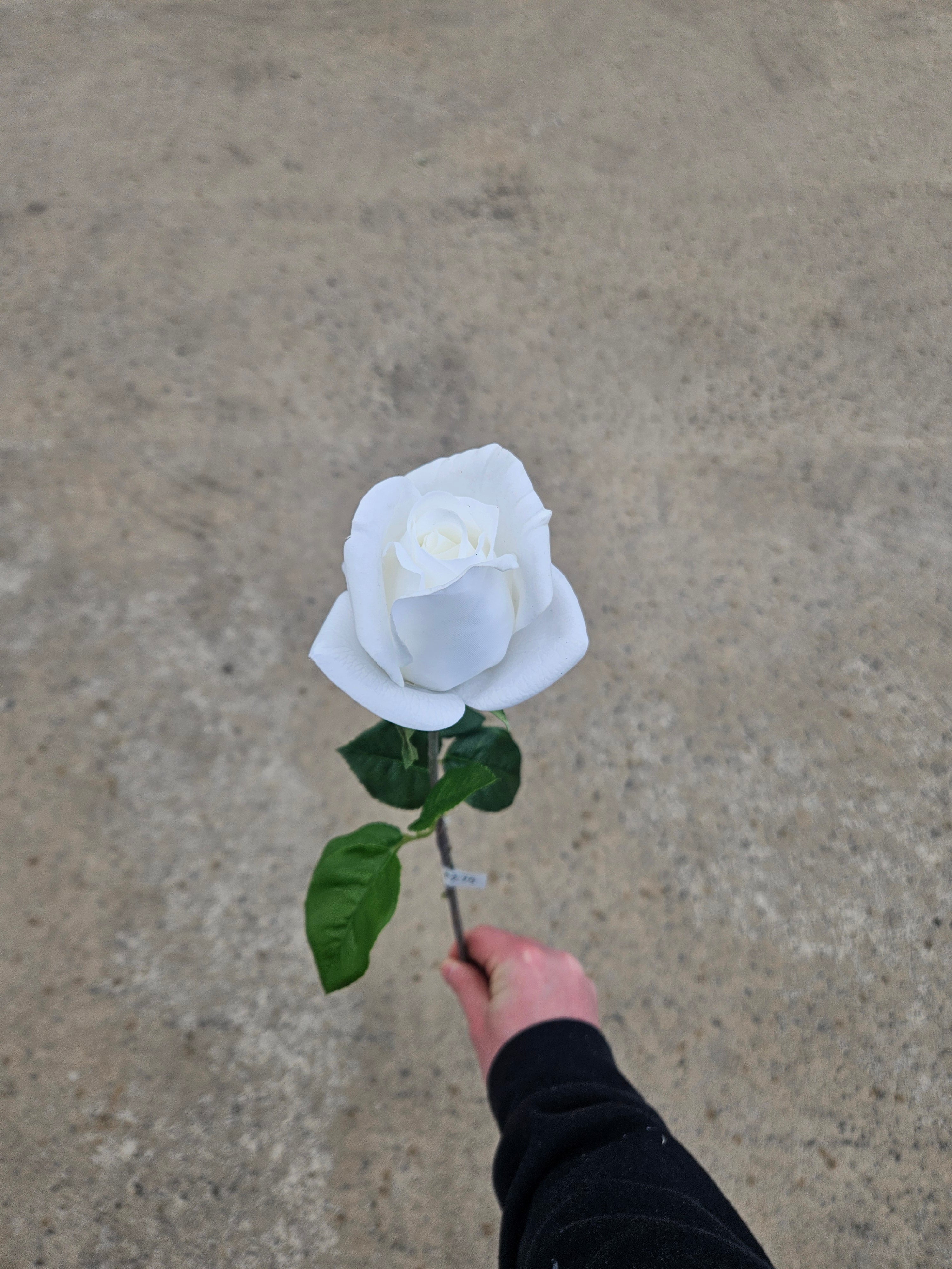 White Real Feel Rose