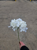 Ivory Thin Stem Hydrangea