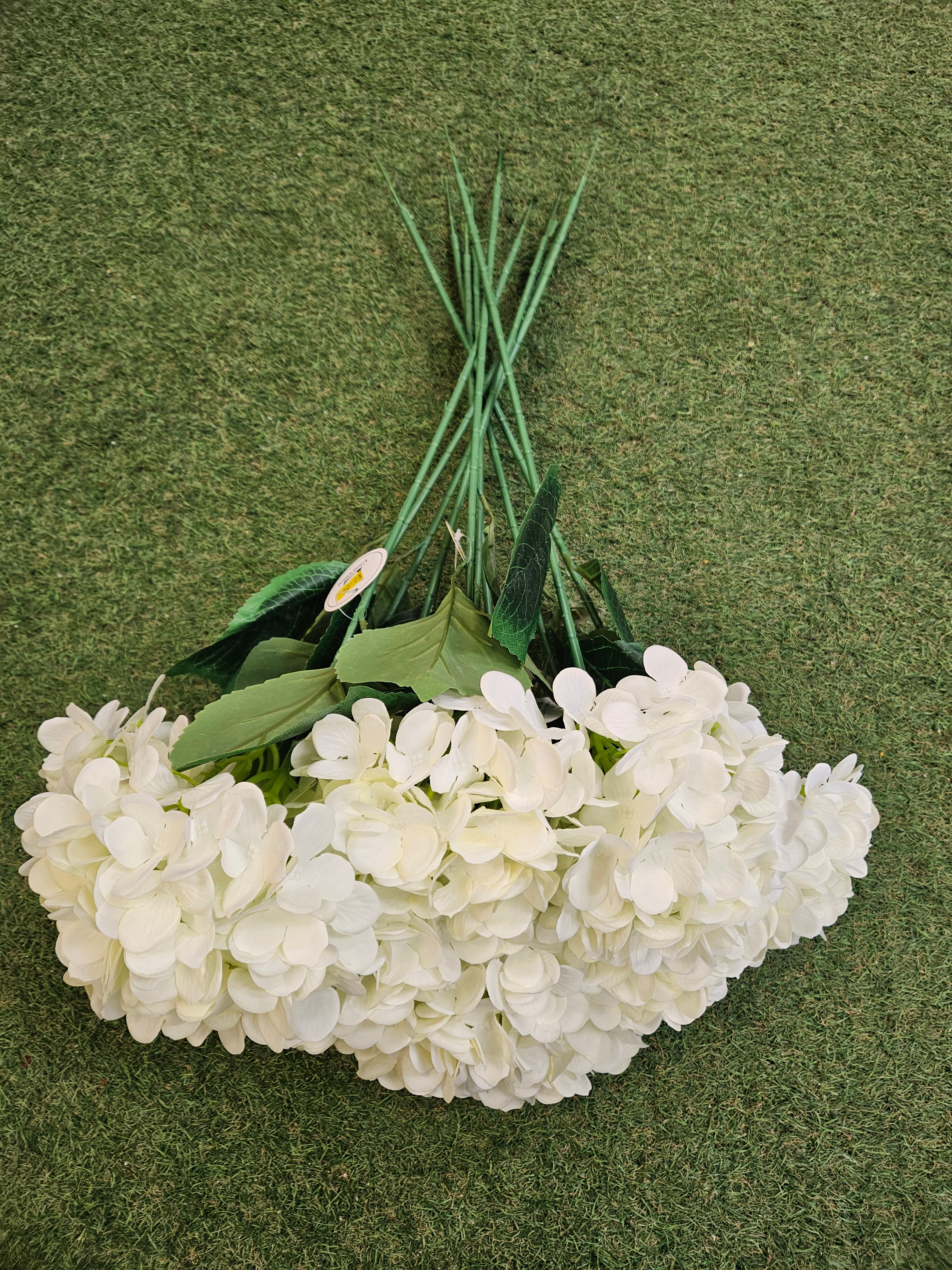 10x Ivory Hydrangea Stems