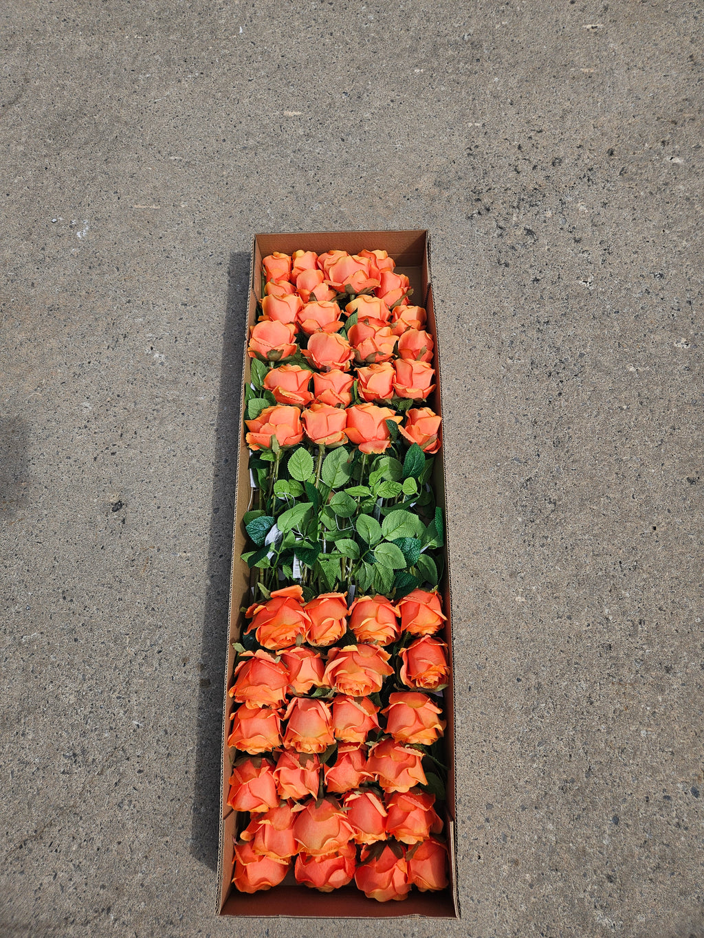 AUTUMN OFFER - Box of 48 Orange Harper Roses