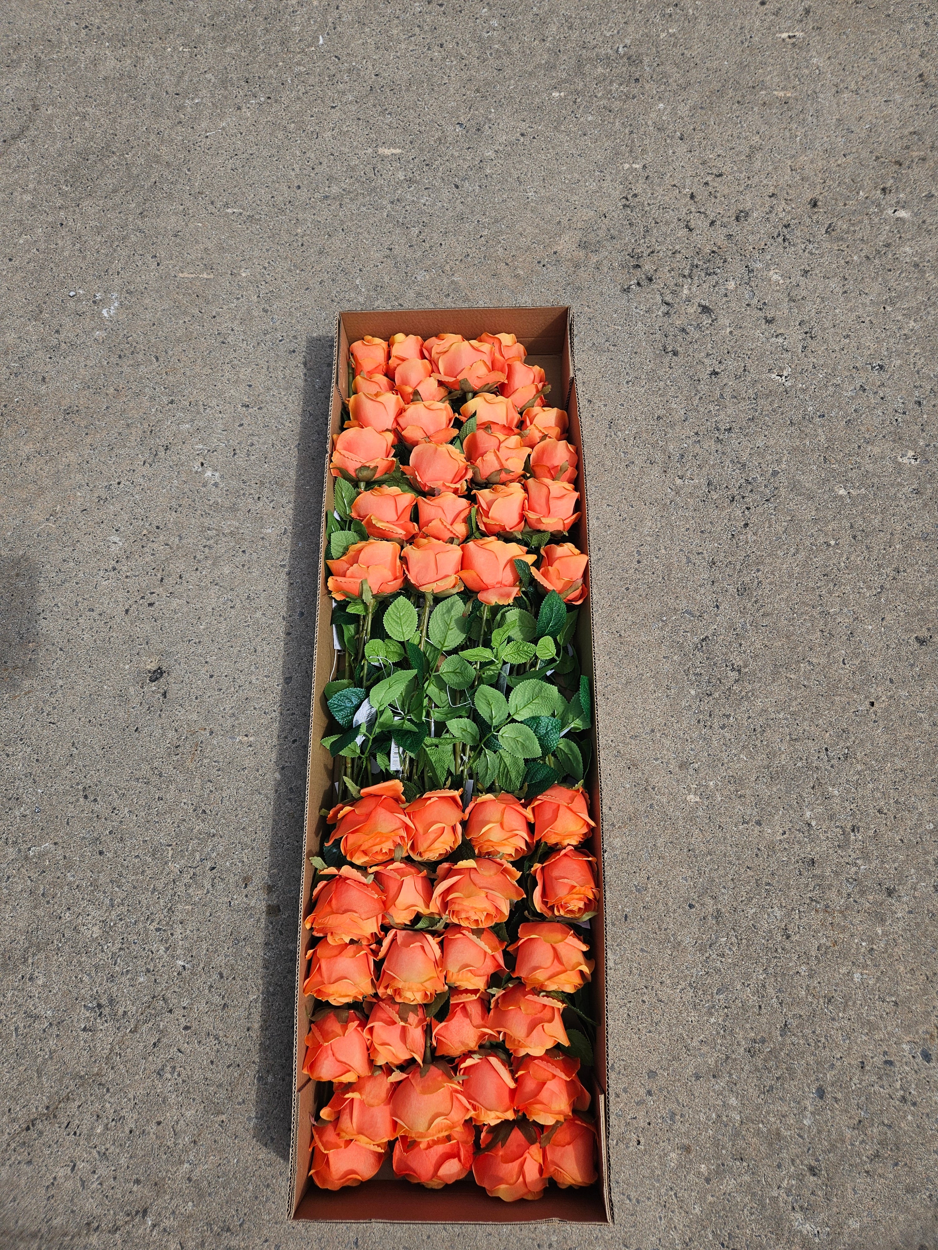 AUTUMN OFFER - Box of 48 Orange Harper Roses