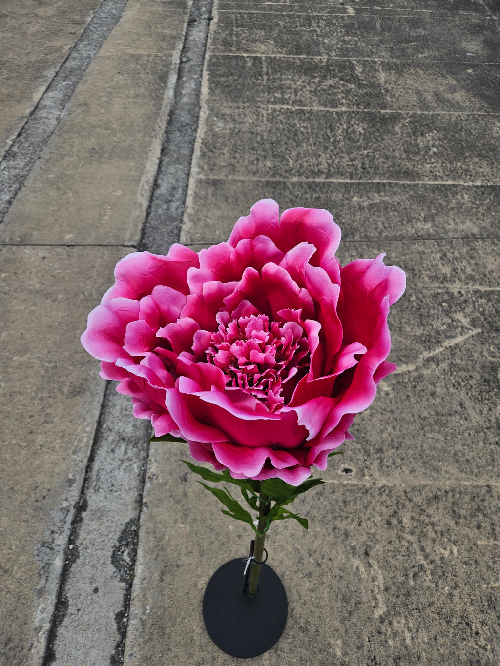 Giant Large Hot Pink Peony (Stand Not Included)