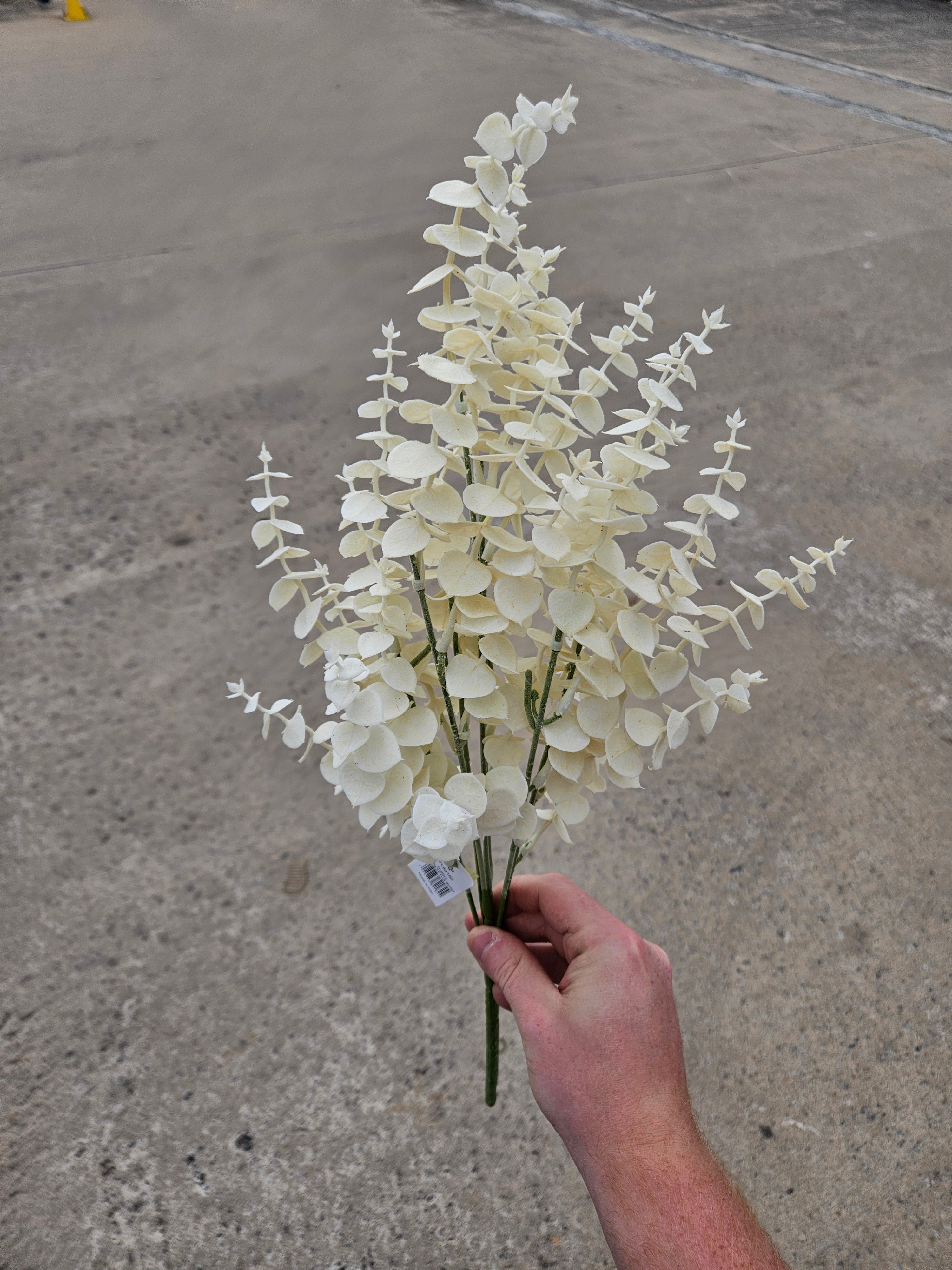 Cream Eucalyptus Bunch