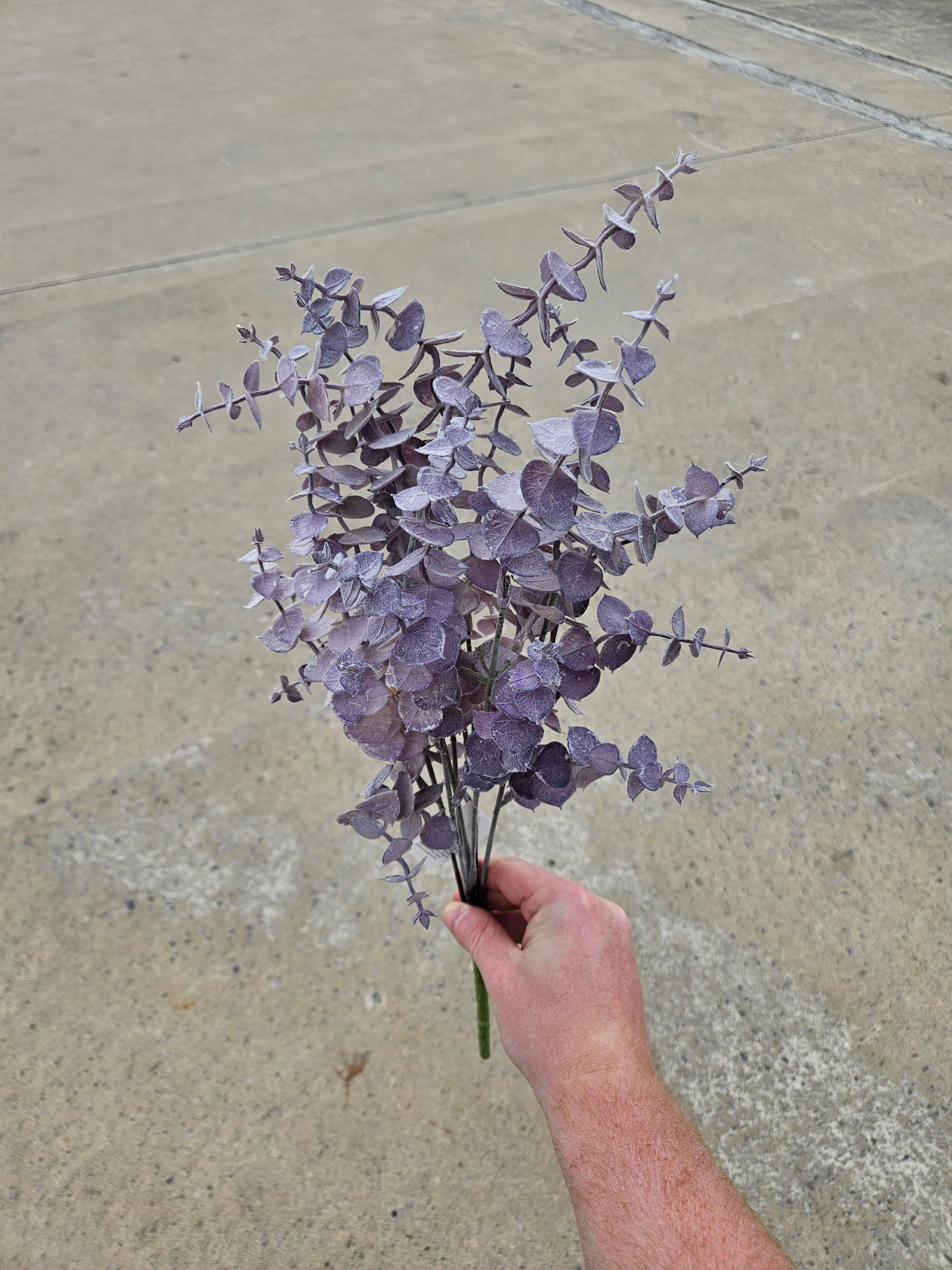 Autumn Purple Eucalyptus Bunch