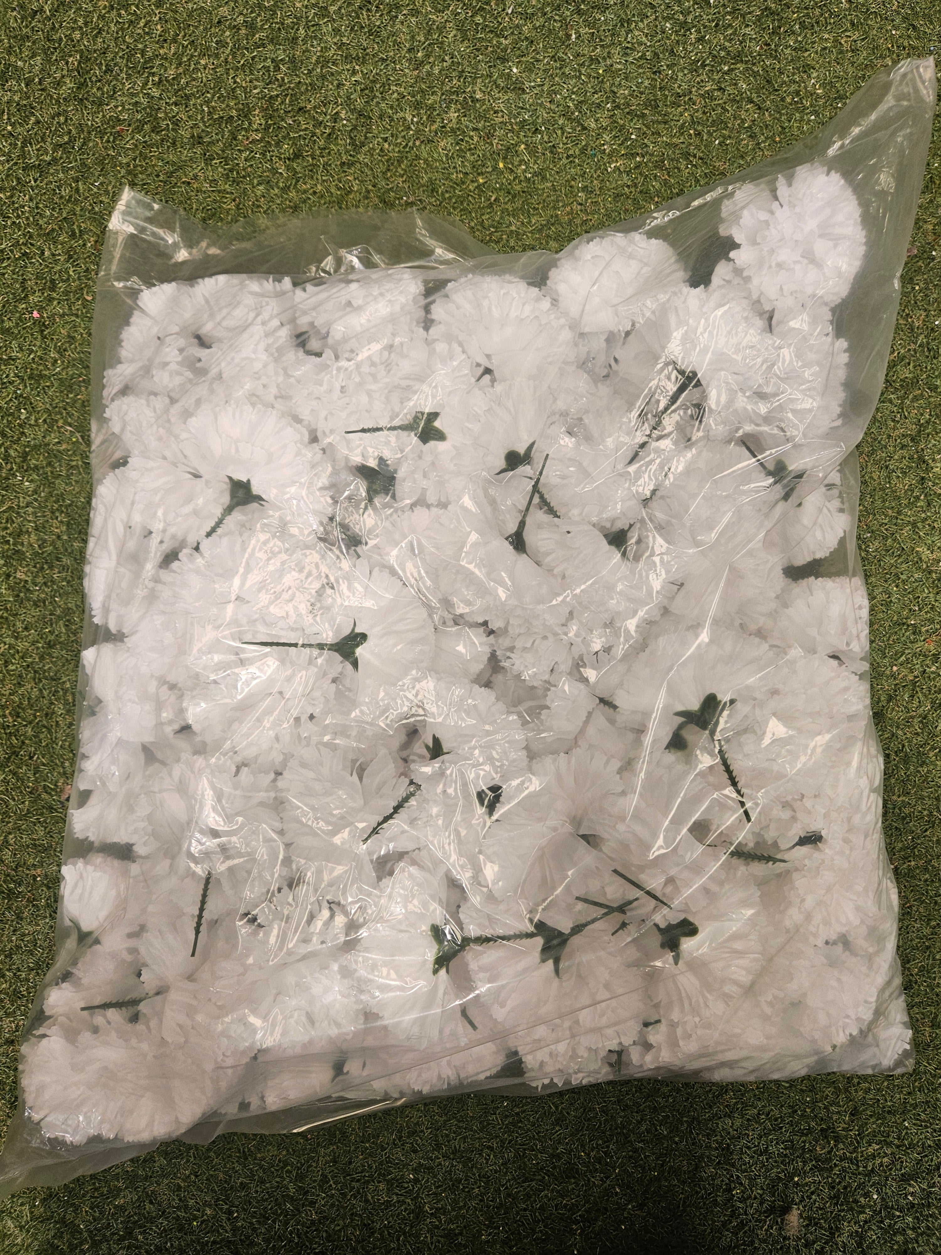 Bag of 144 White Carnation Picks