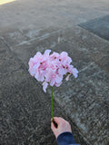 Long Stem Slim Hydrangea (Pink)