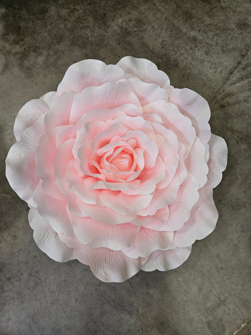 Giant XL Baby Pink Rose Head