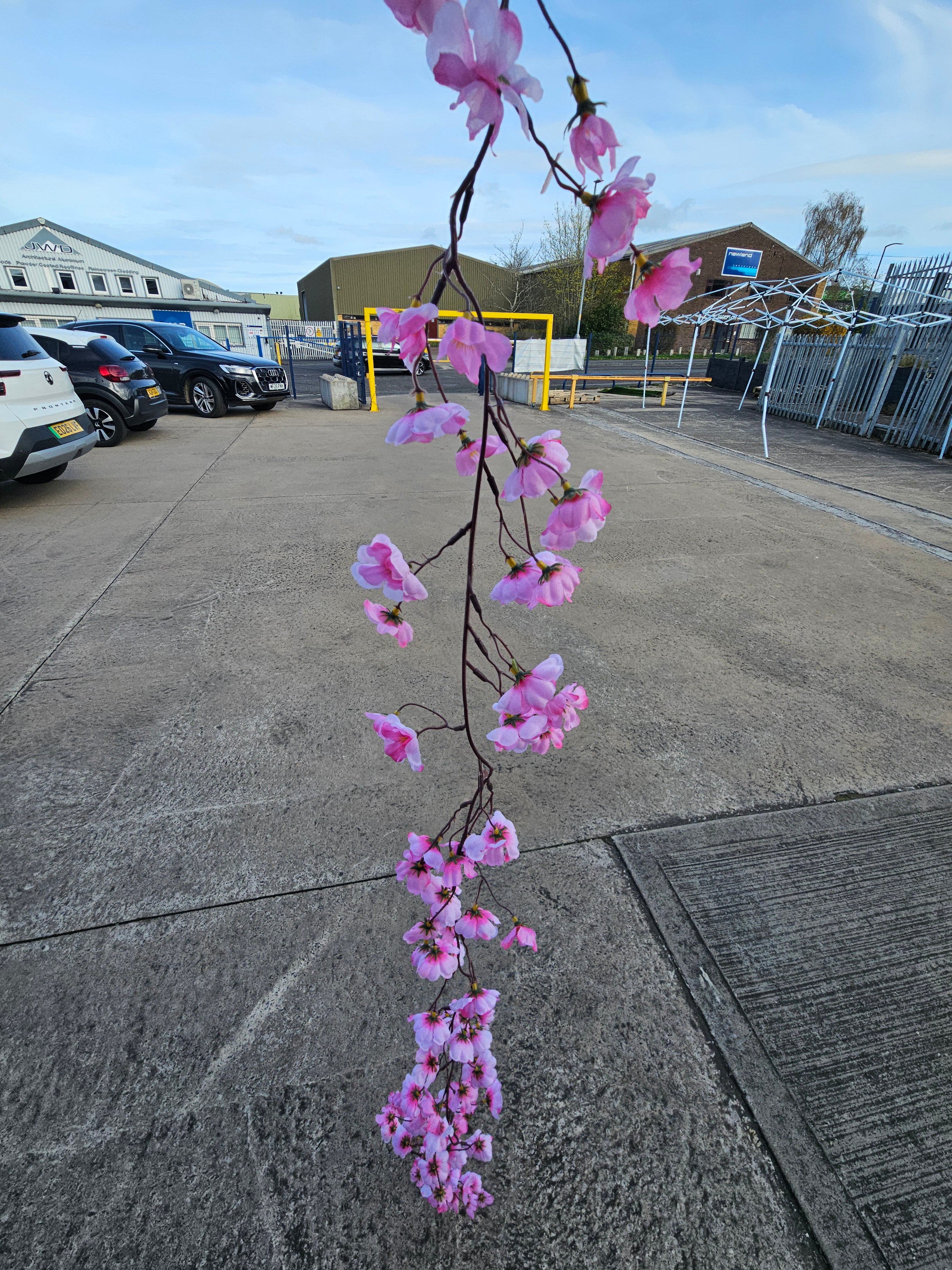 6ft Pink Cherry Blossom Garland