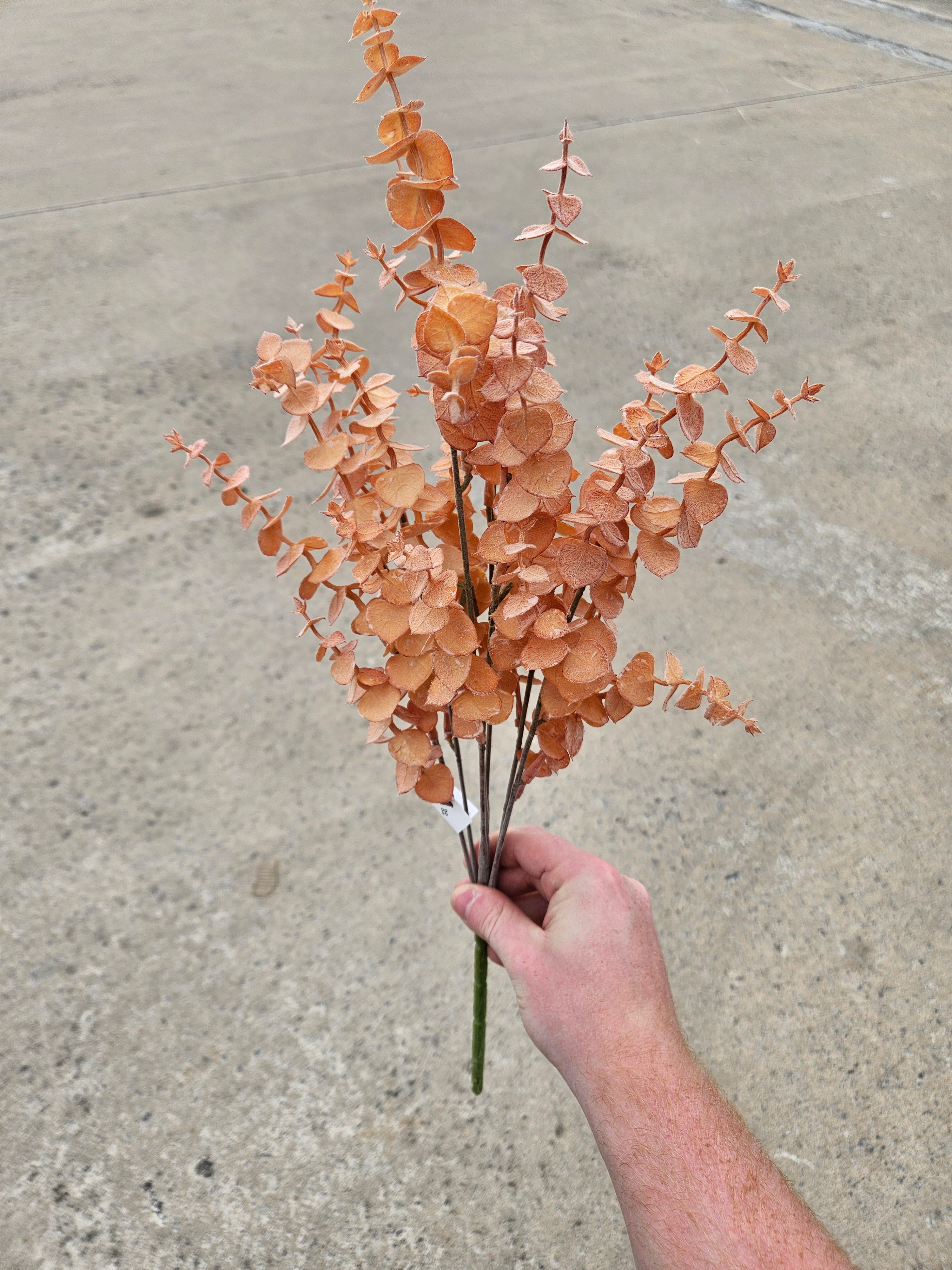 Autumn Burnt Orange Eucalyptus Bunch