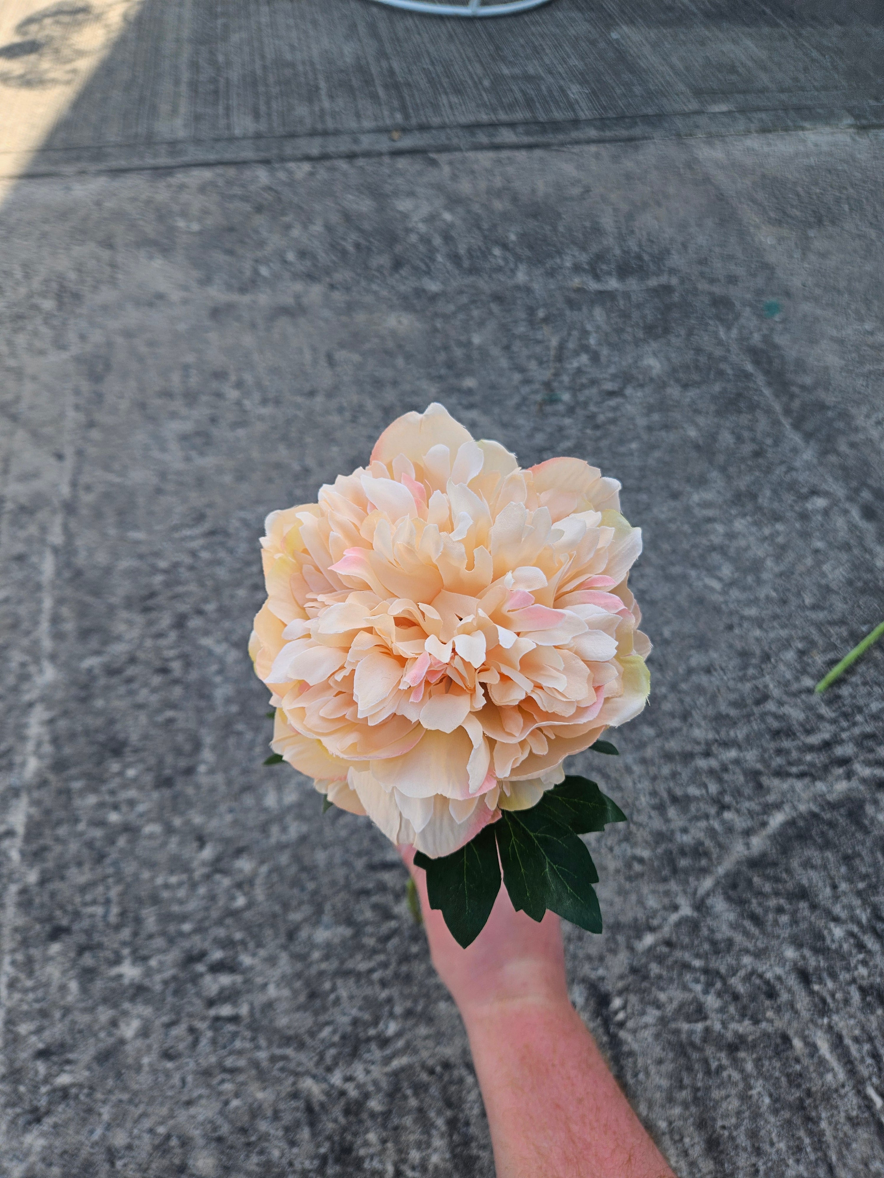 Peach Peony