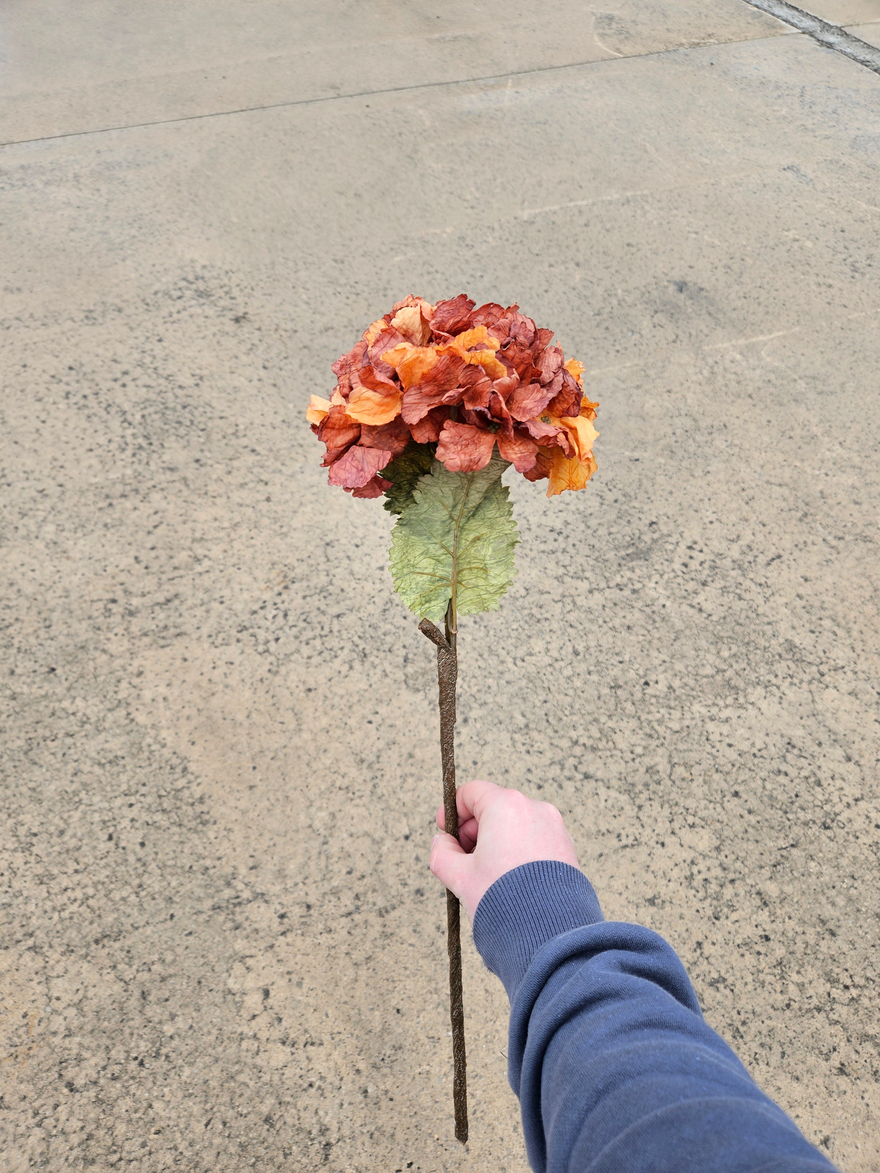 Burnt Orange Dry Touch Hydrangea