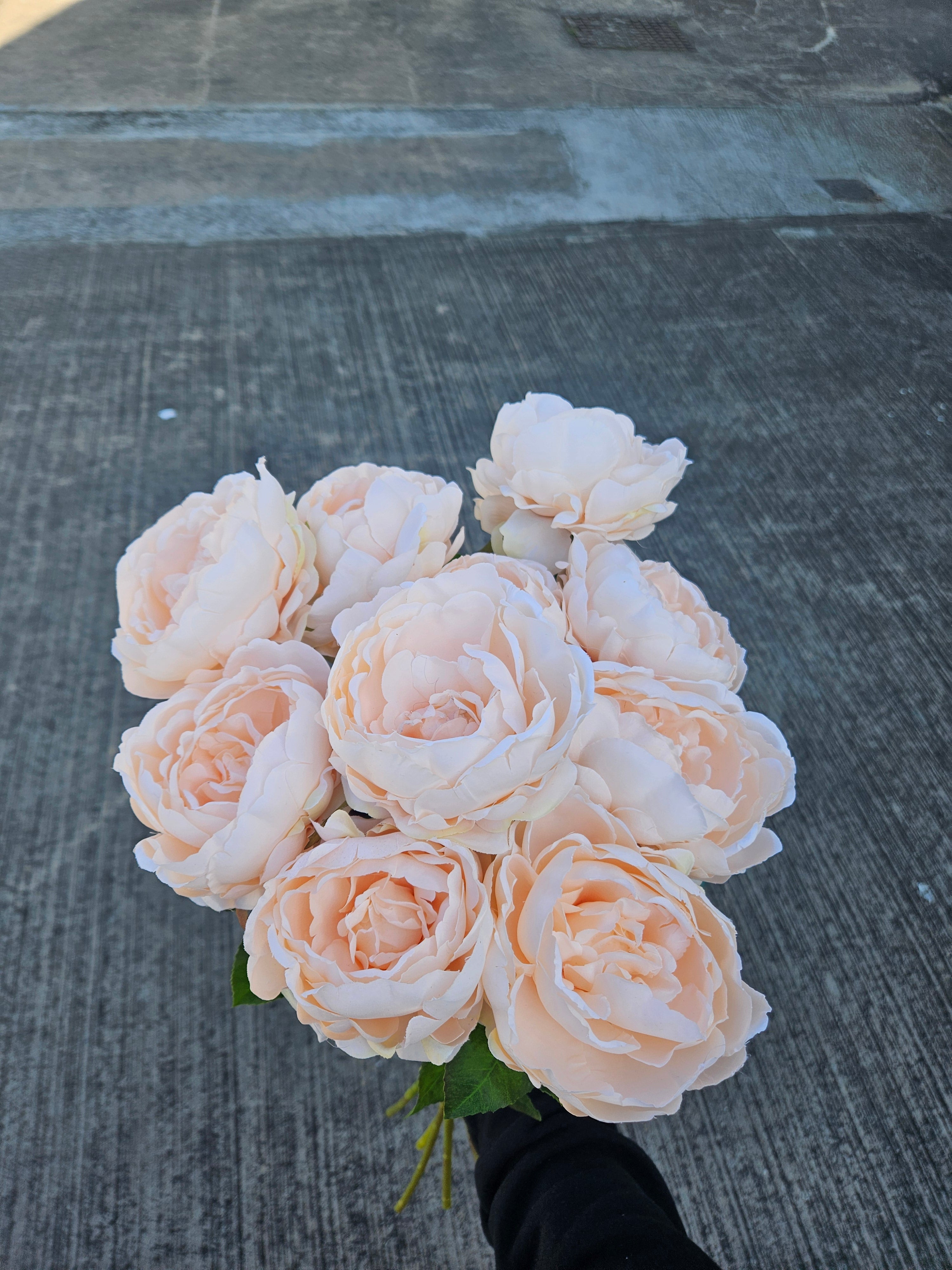 10x Peach Peonies