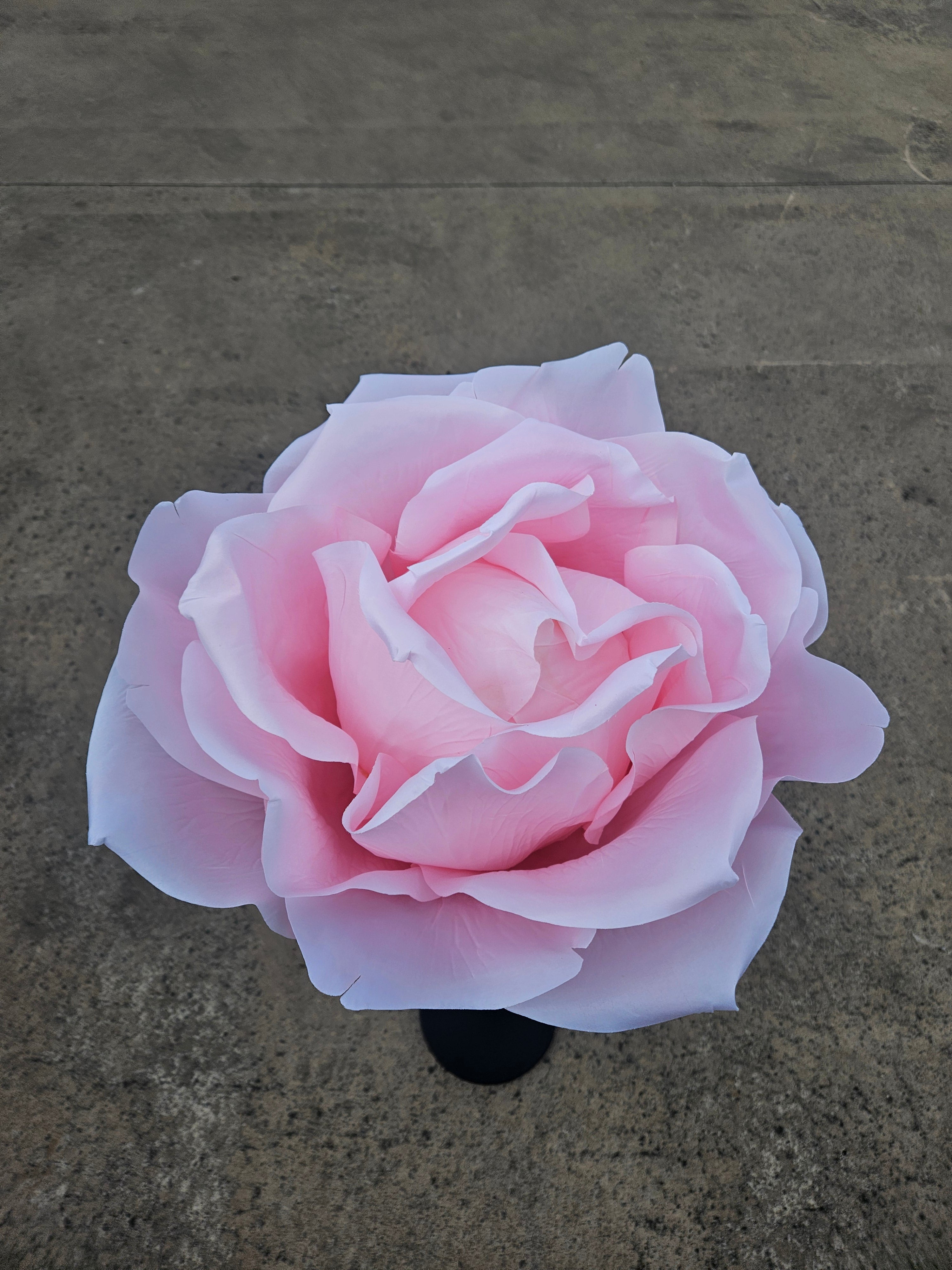 Giant XL Pink Rose (Stand Not Included)