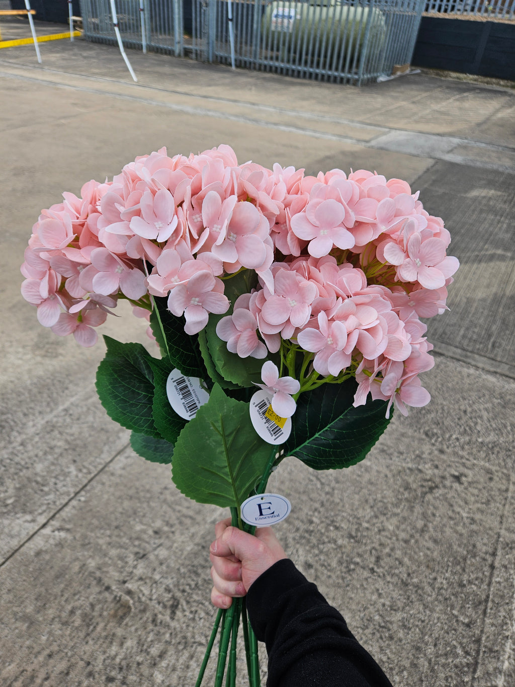 10x Peachy Pink Hydrangea Stems