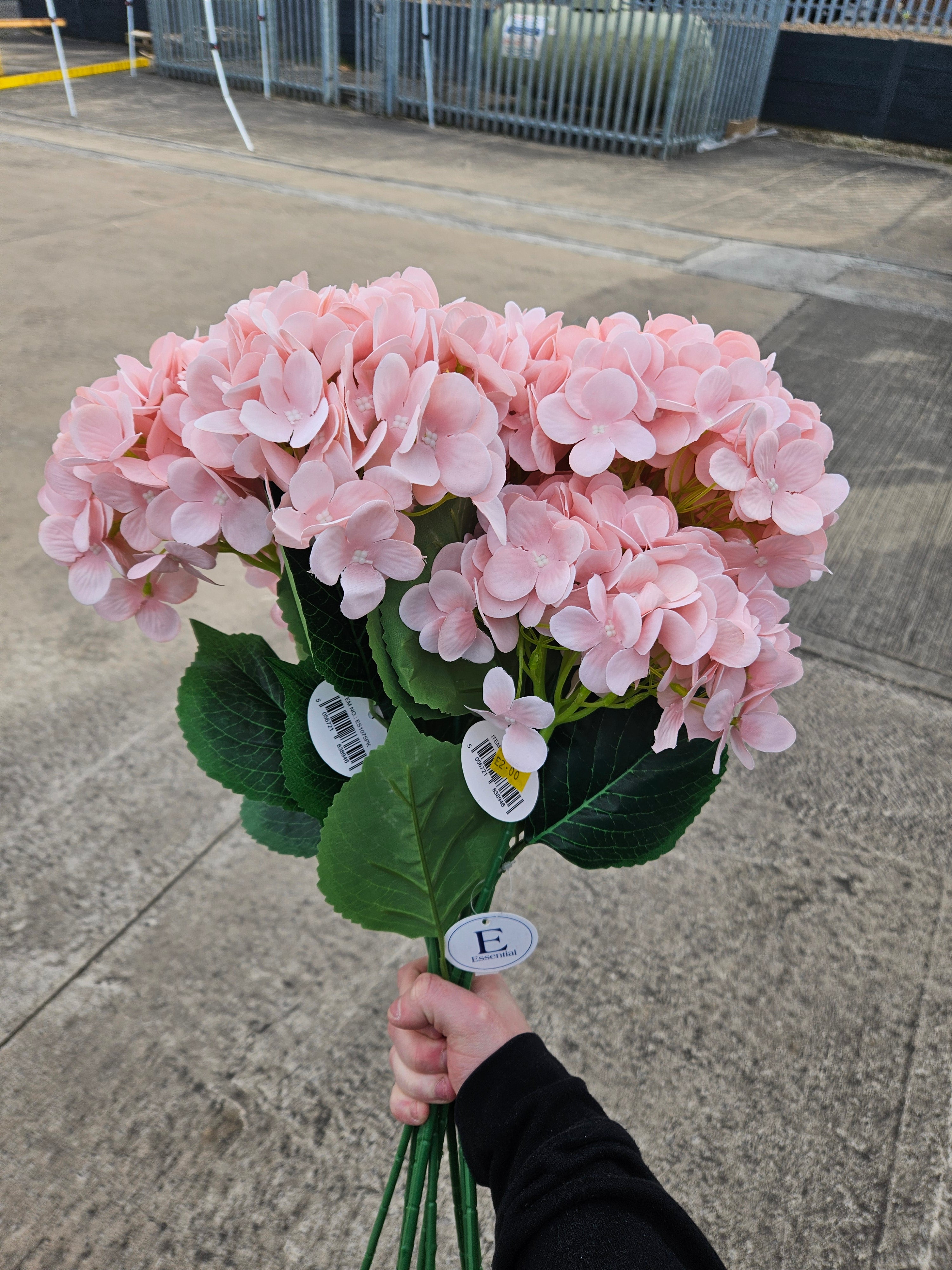 10x Peachy Pink Hydrangea Stems