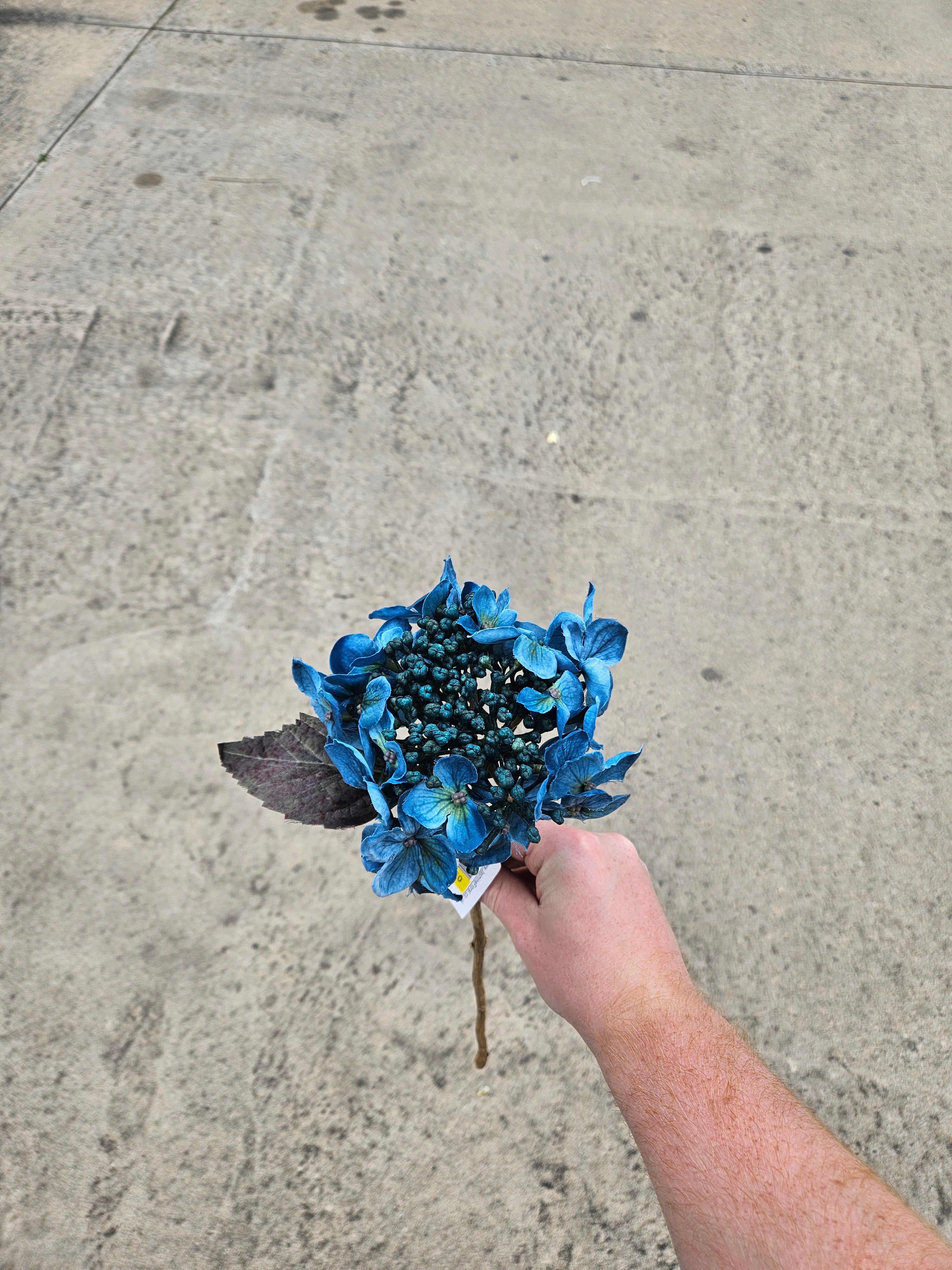 Teal Budding Hydrangea
