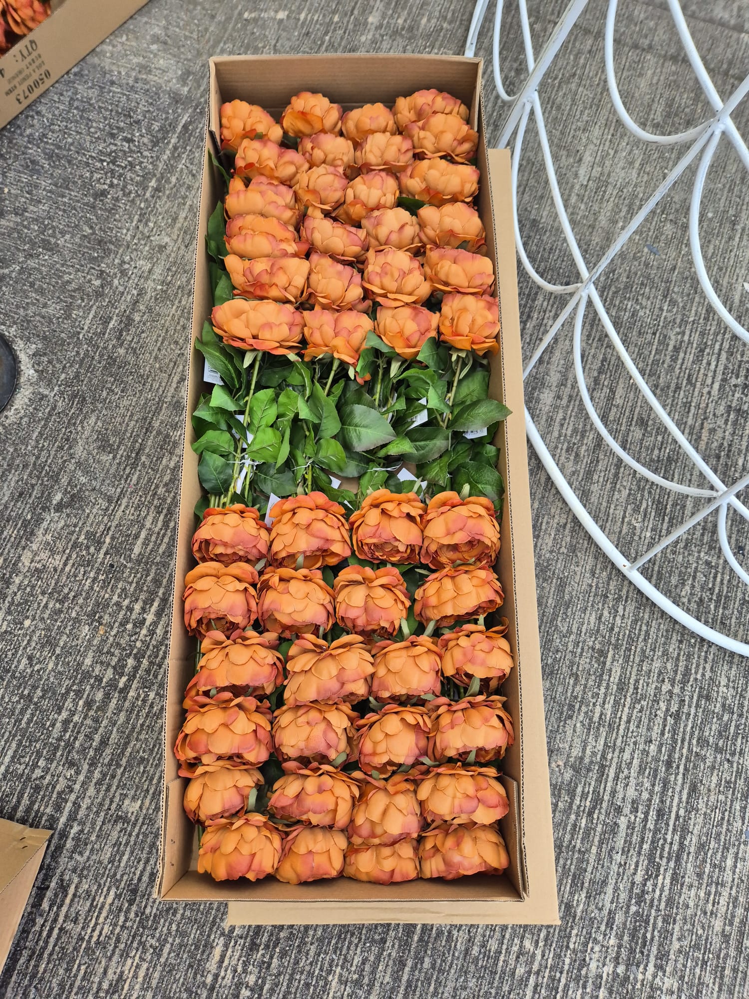 10x Burnt Orange Peonies