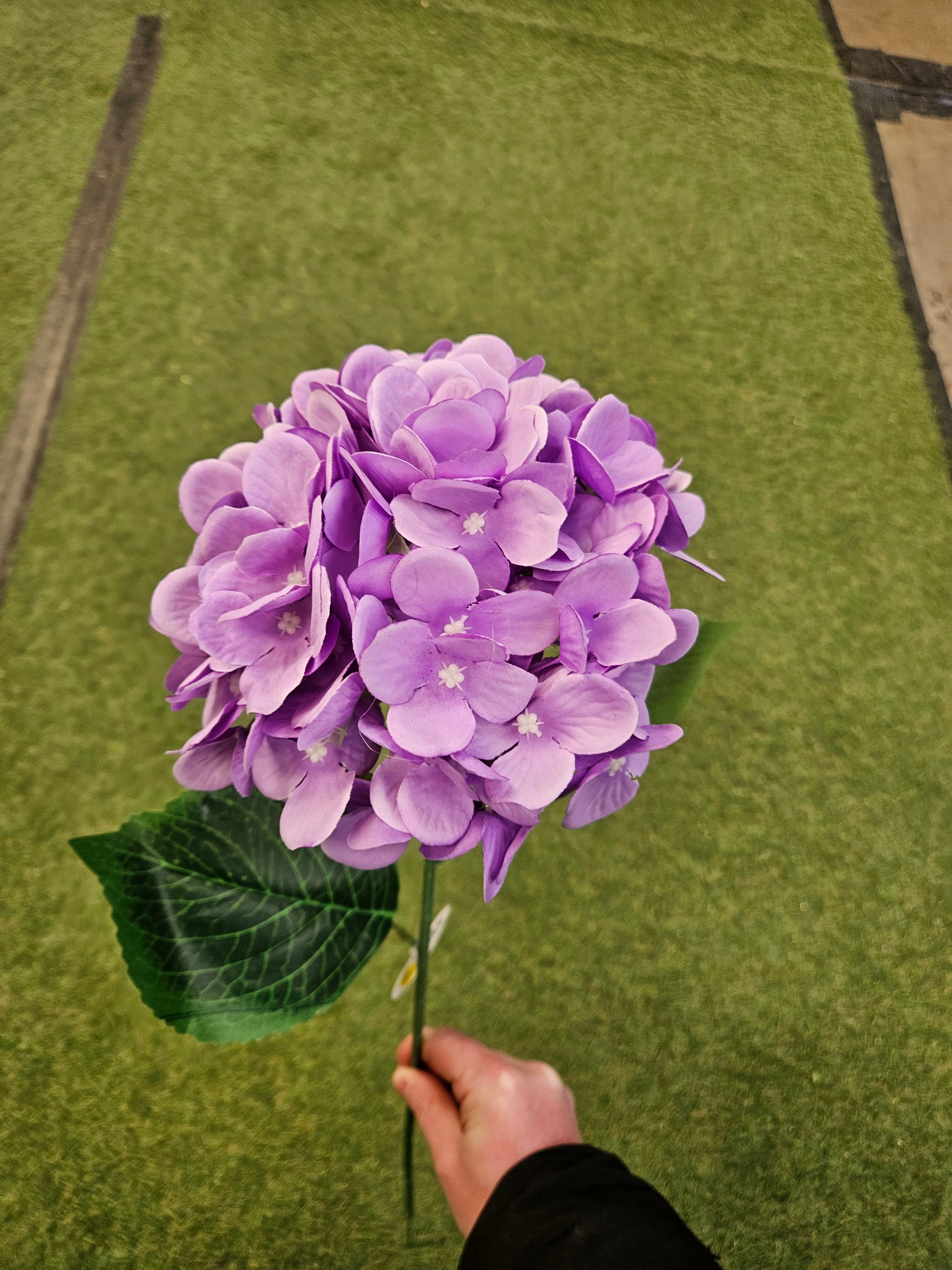 10x Purple Hydrangea Stems