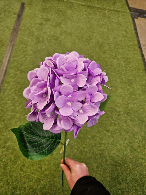 10x Purple Hydrangea Stems