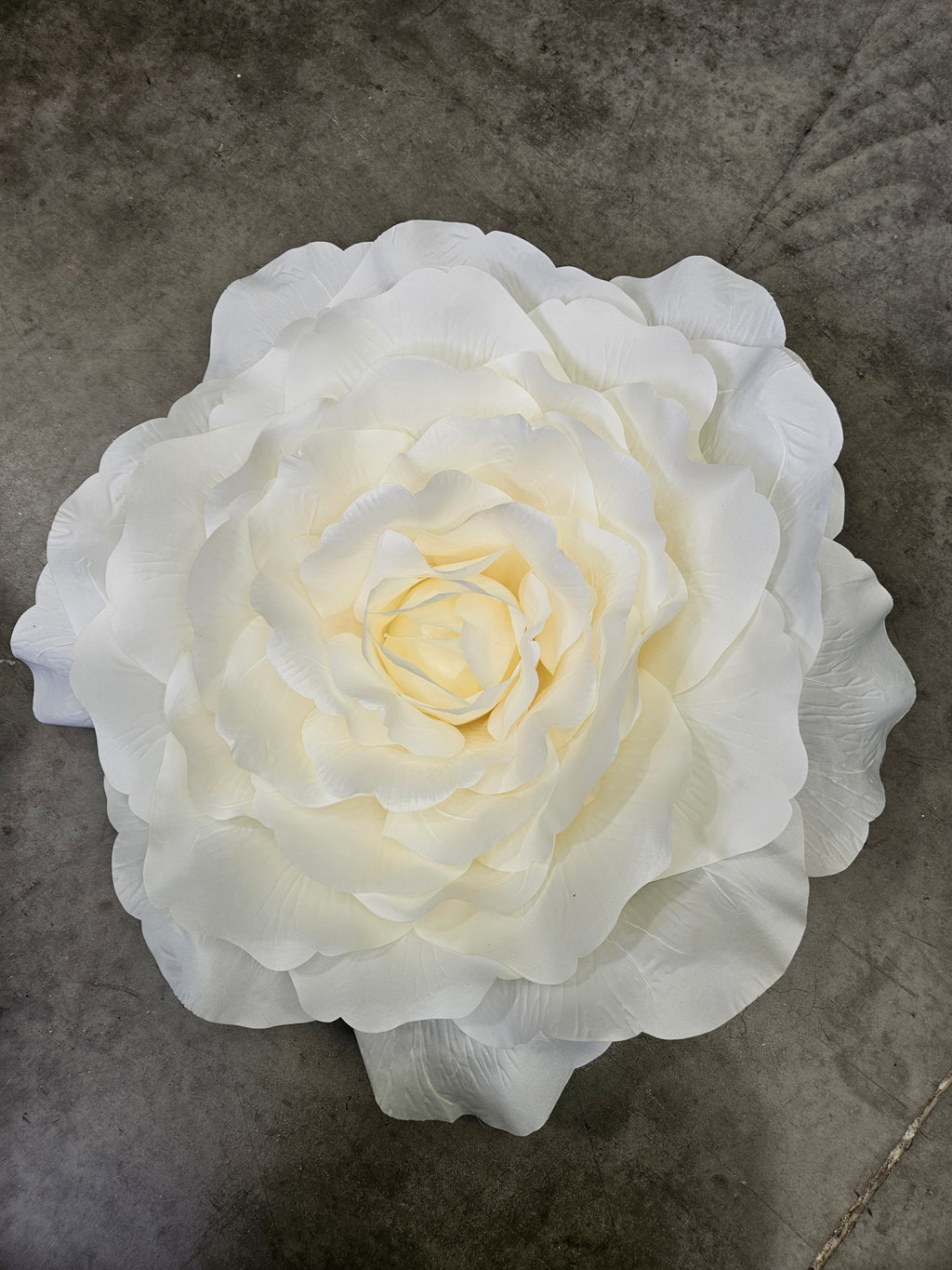 Giant XL Ivory Rose Head