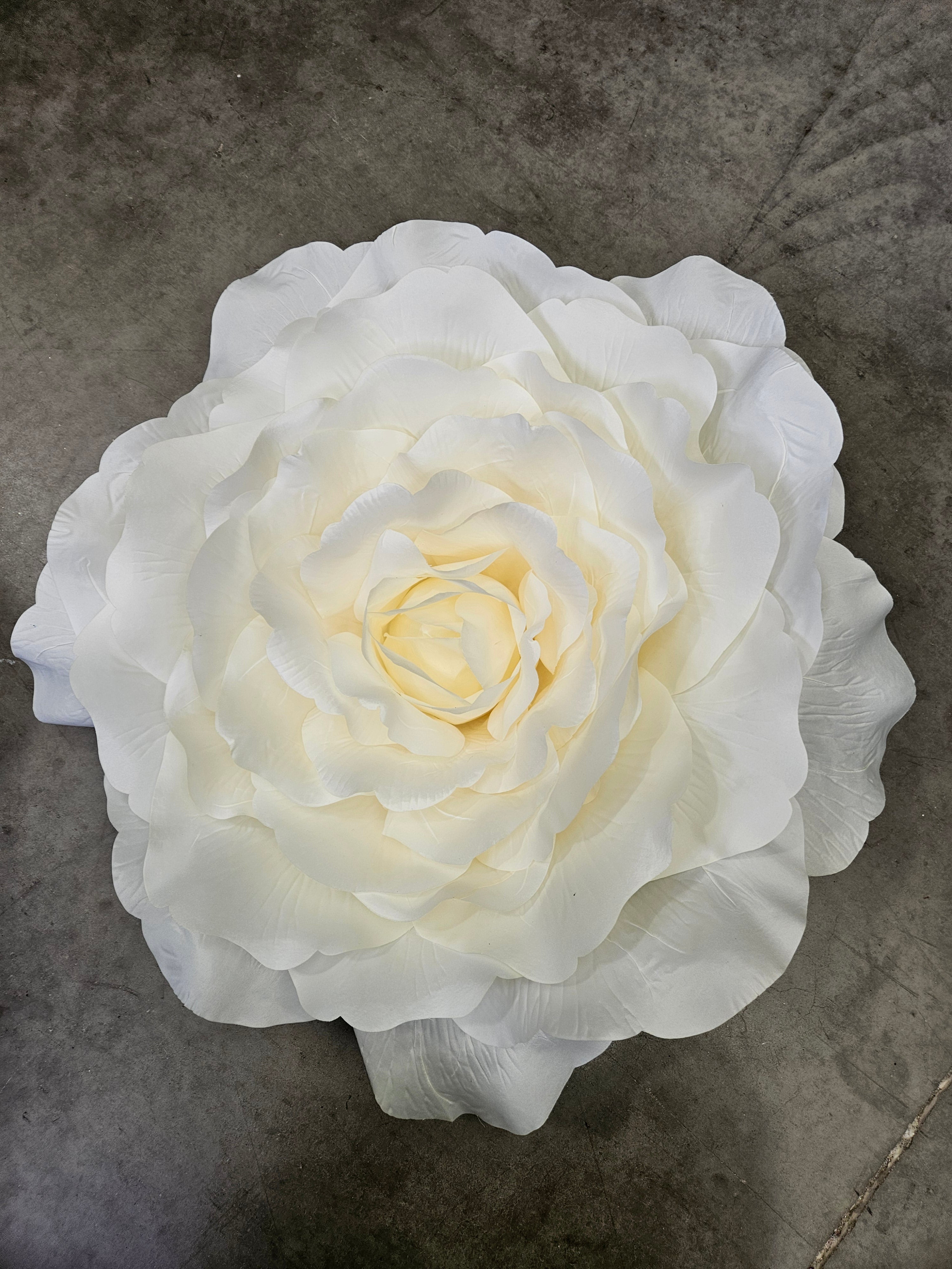 Giant XL Ivory Rose Head