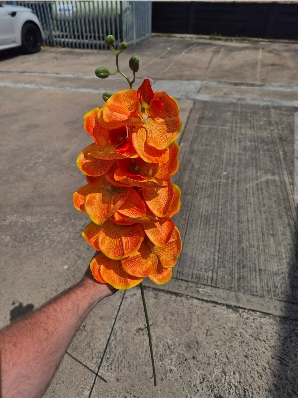 Tropical Orange Orchid