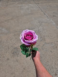 12 Pink Globe Roses