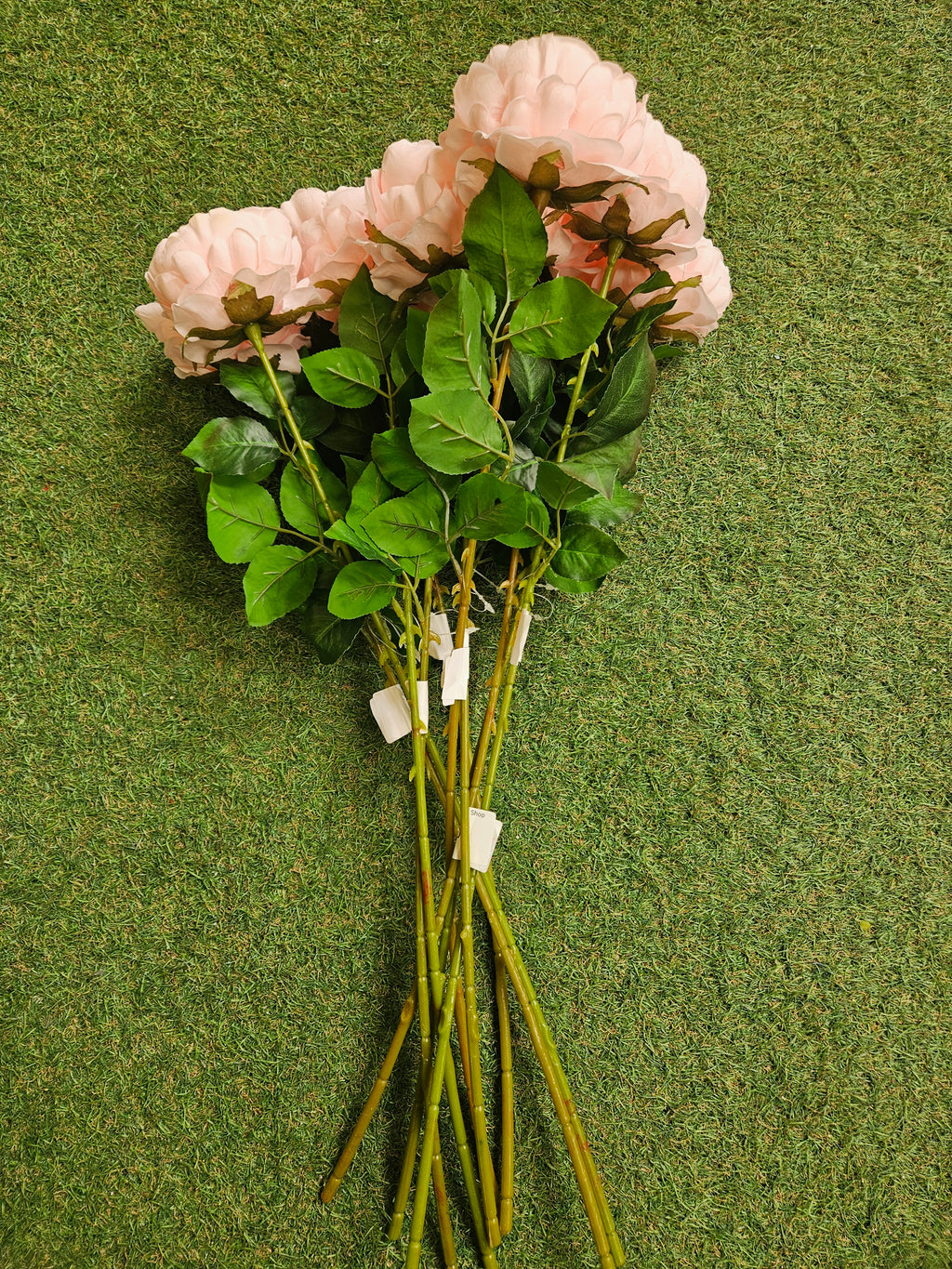 10x Pink Peonies
