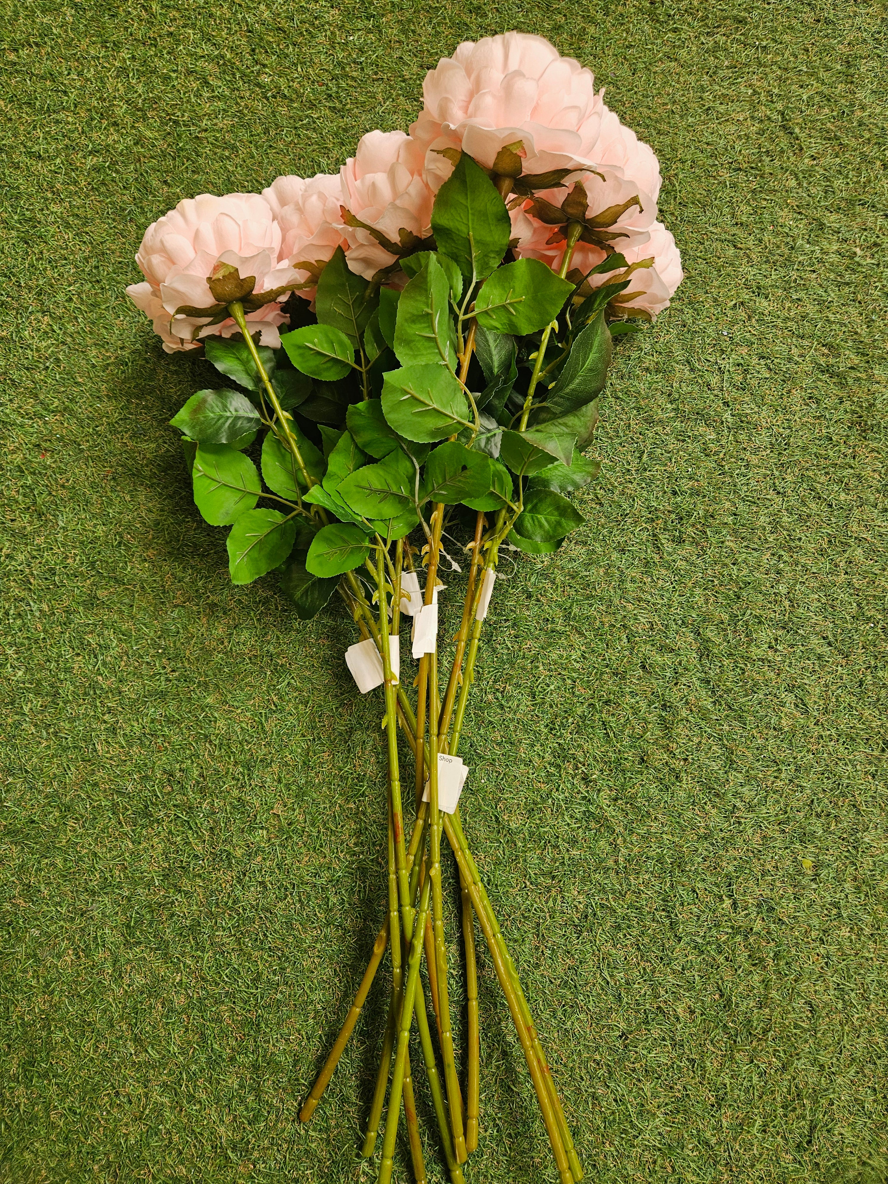 10x Pink Peonies