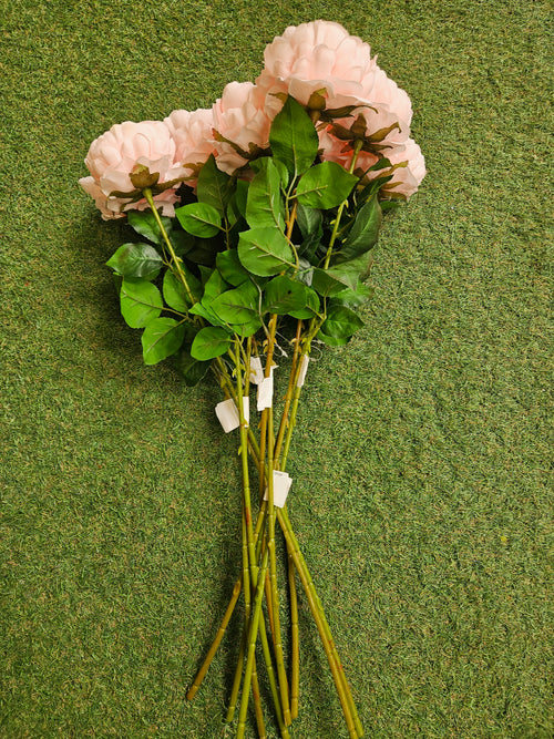 10x Pink Peonies