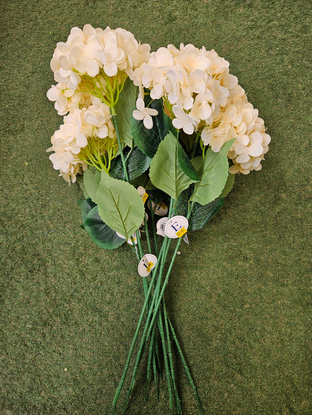 10x Cream Hydrangea Stems