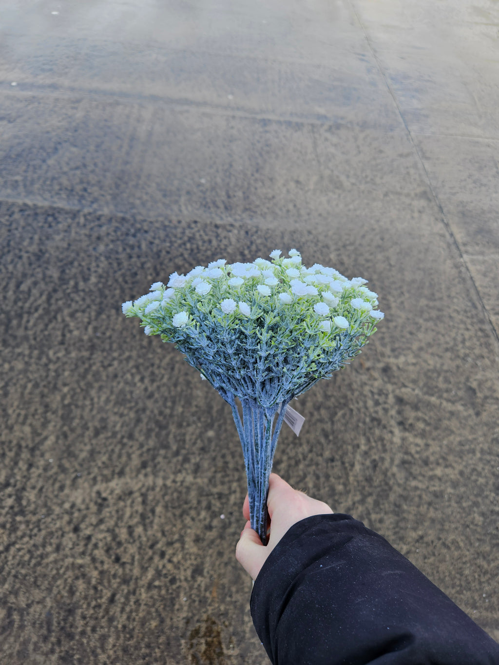 Gypsophilia Bunch (10 Stems)