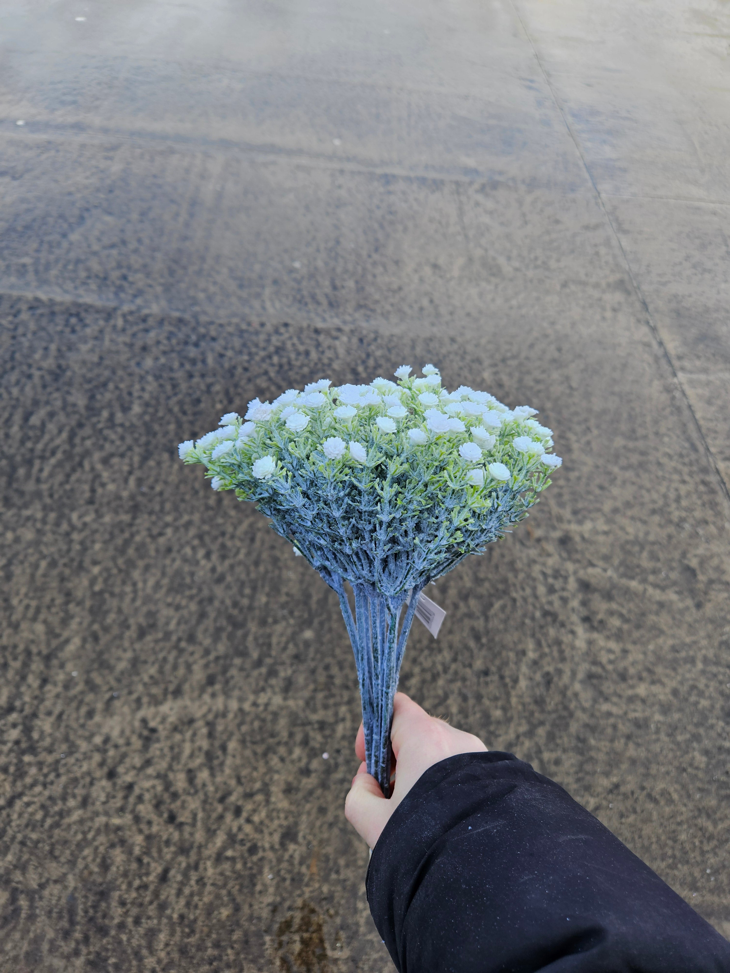 Gypsophilia Bunch (10 Stems)