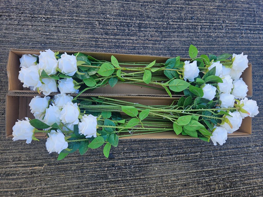 48 Ivory Amira Roses