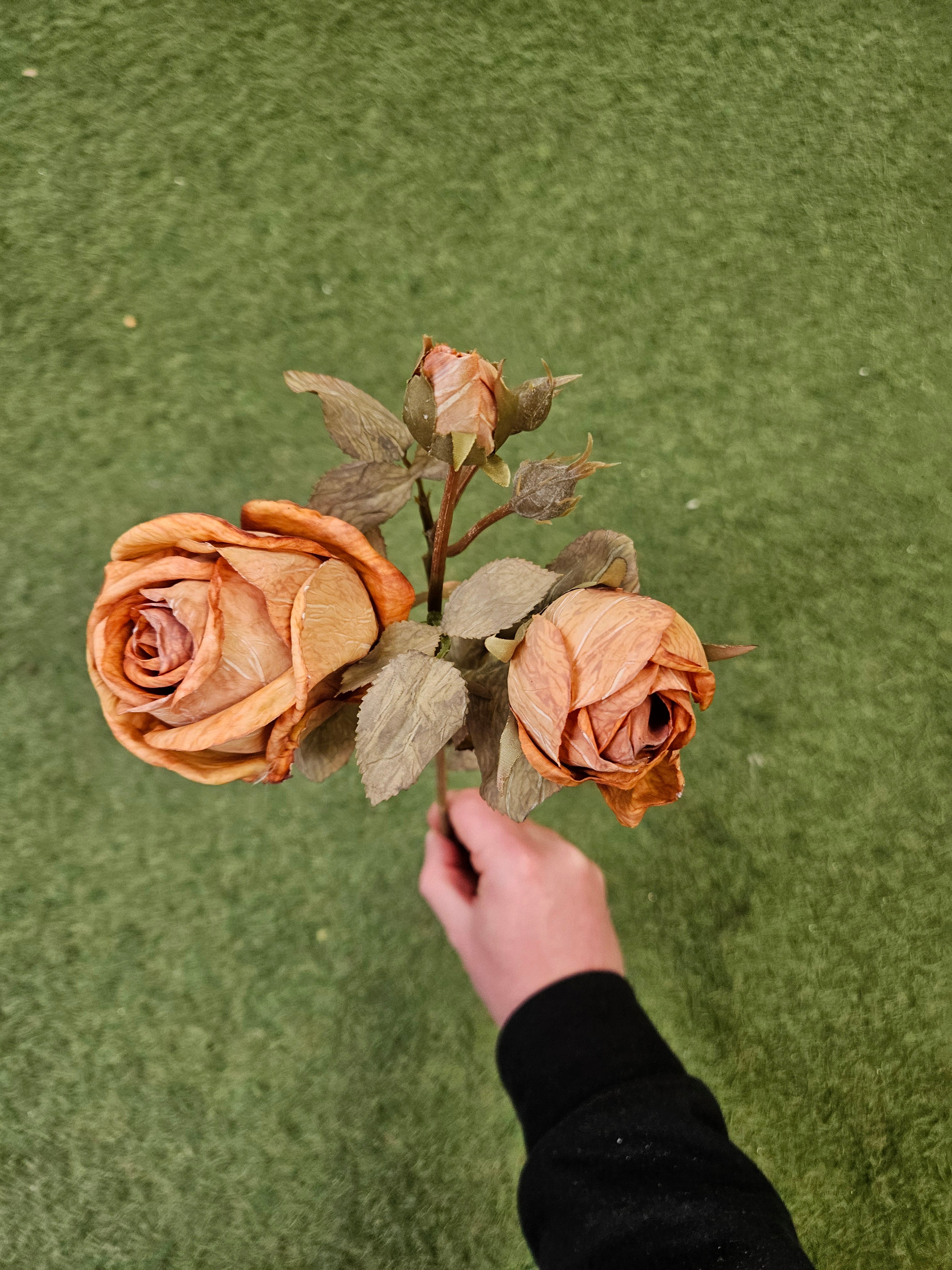 Dry Touch Burnt Orange Rose Stem