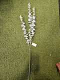 Long Stem Silver Spray Eucalyptus