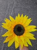Giant Large Sunflower