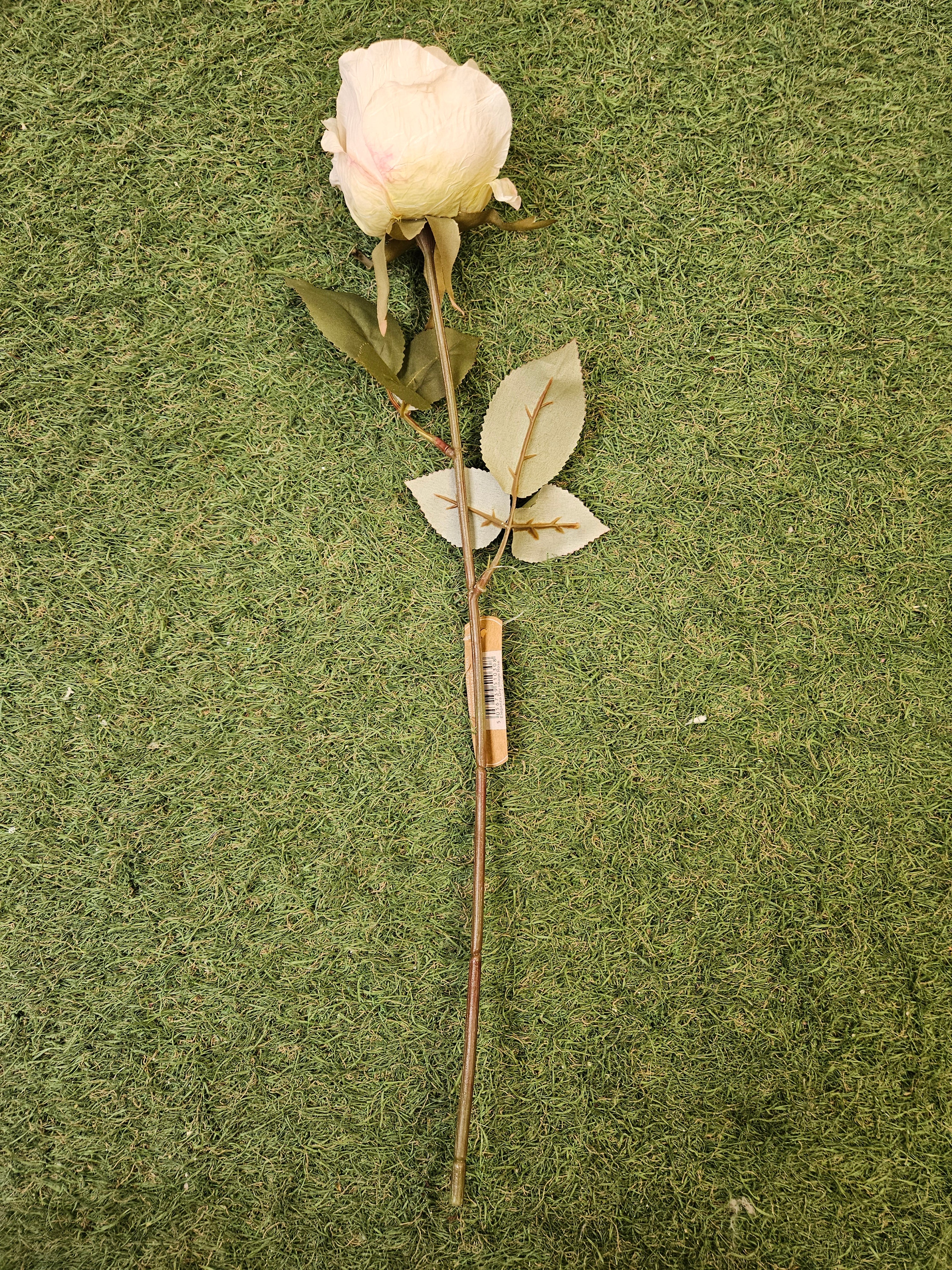 Dry Touch Ivory Rose