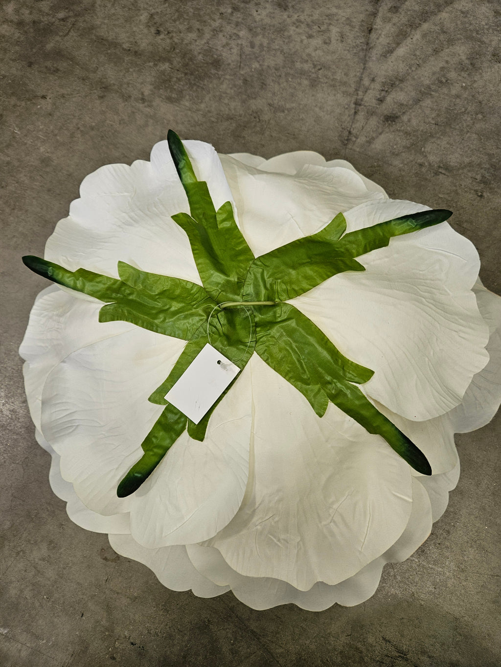 Giant XL Ivory Rose Head