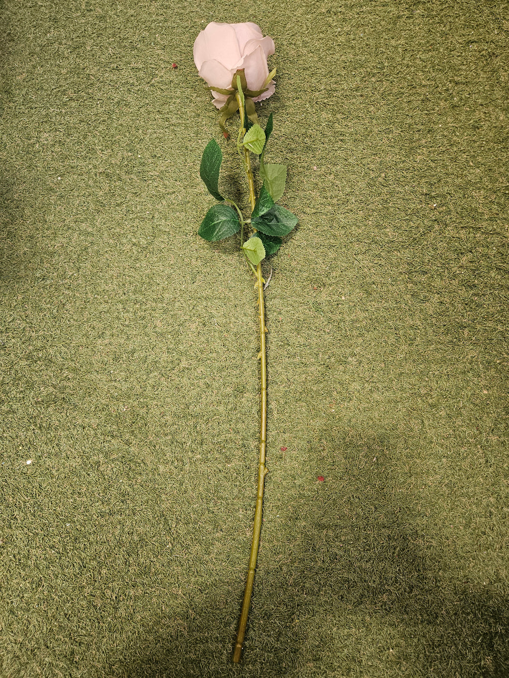Mink Harper Rose