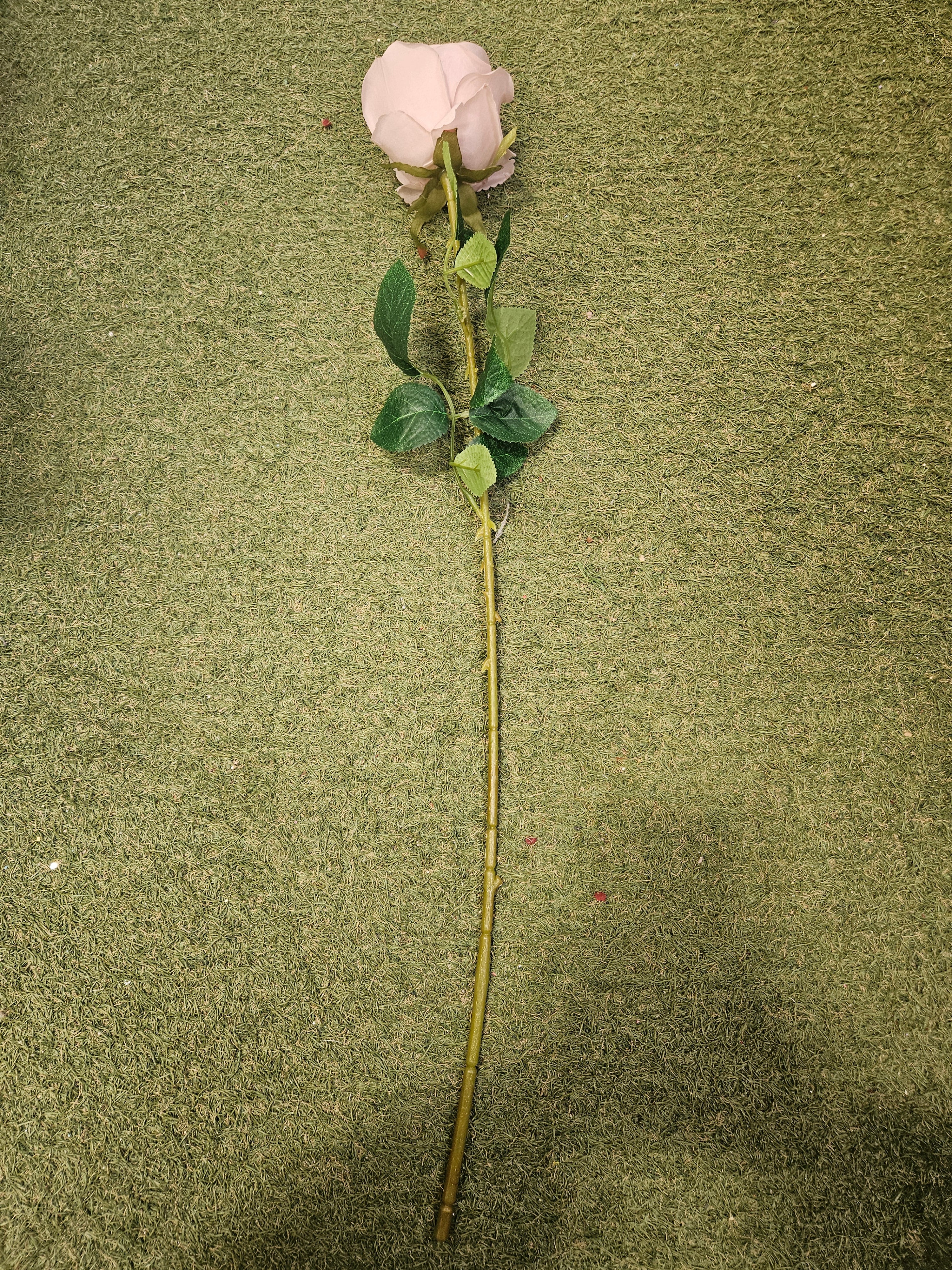 Mink Harper Rose
