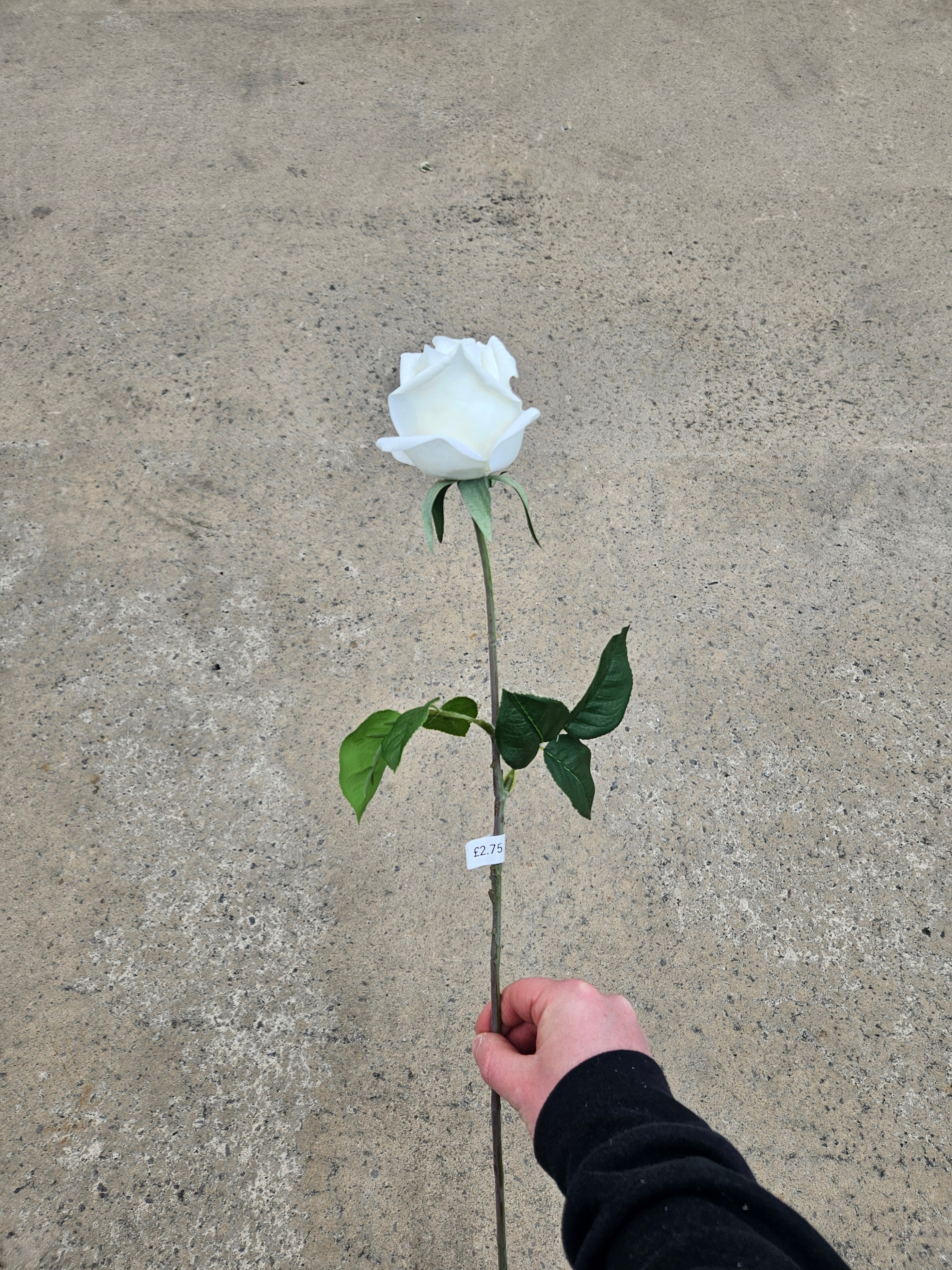 Ivory Real Feel Rose