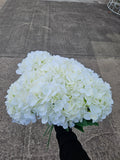 10x Ivory Hydrangea Stems