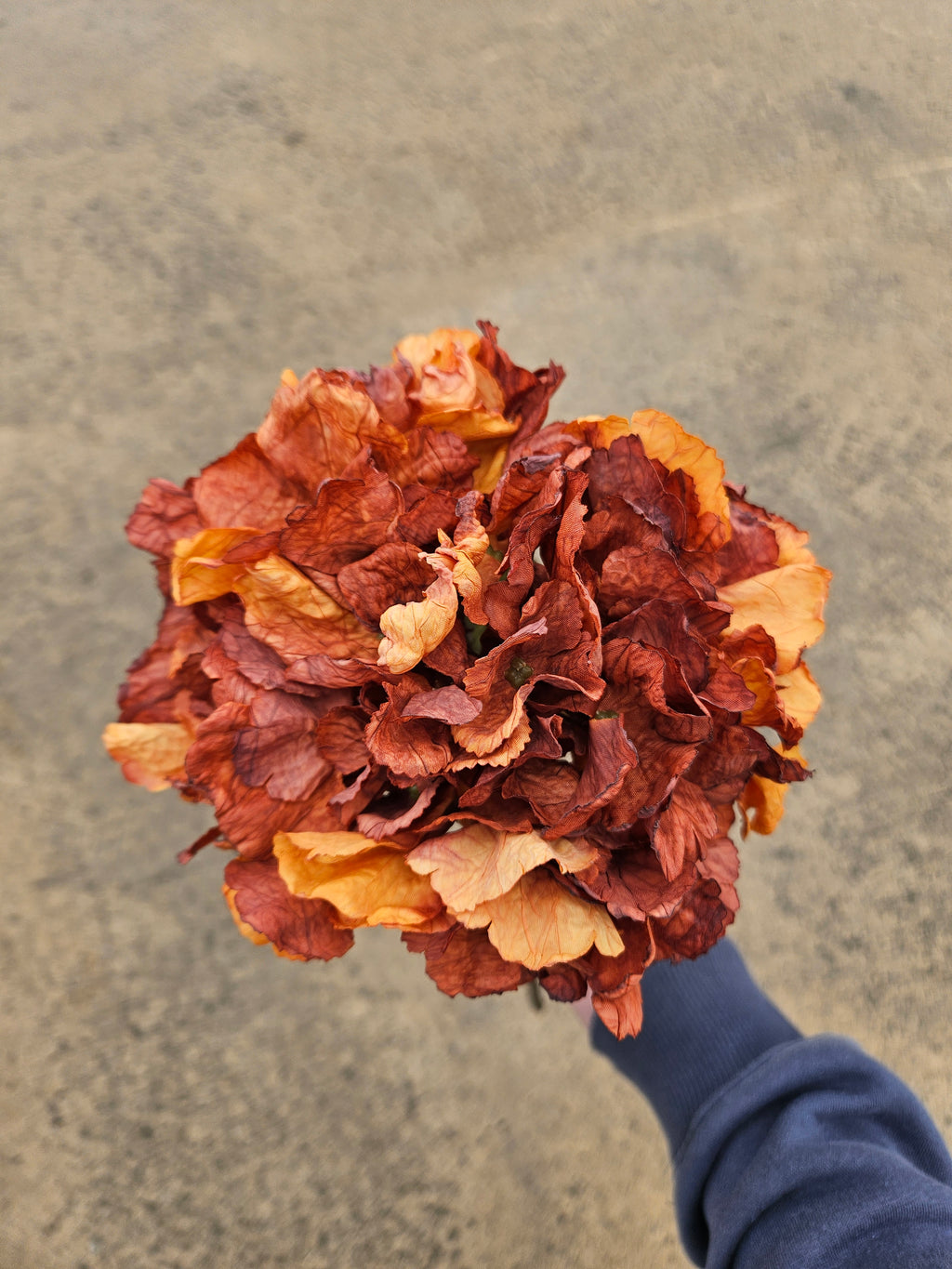 Burnt Orange Dry Touch Hydrangea