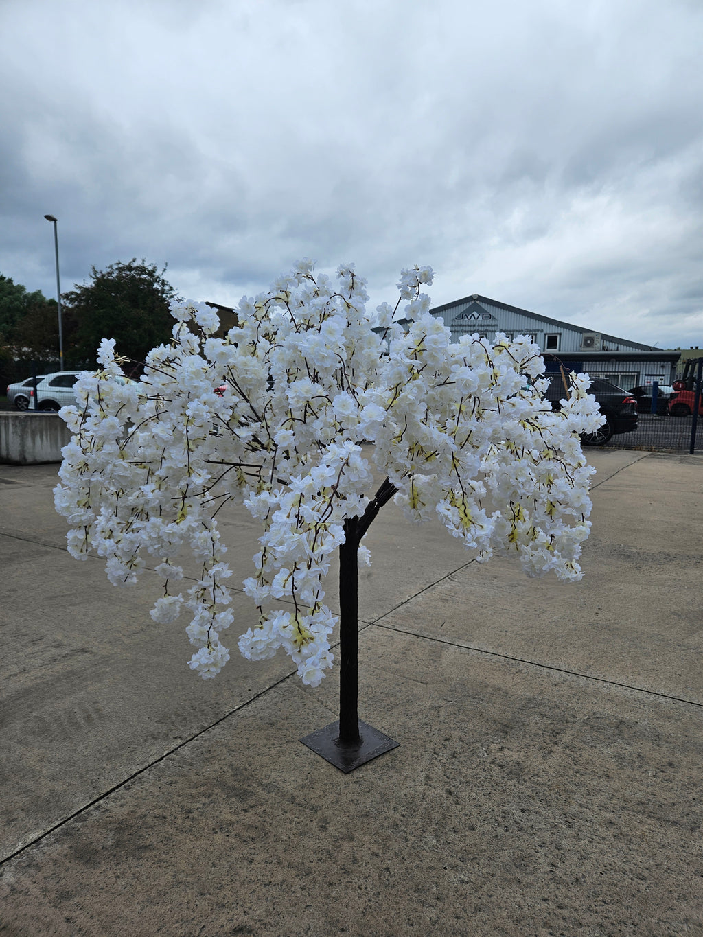 Ivory Tabletop Blossom Tree