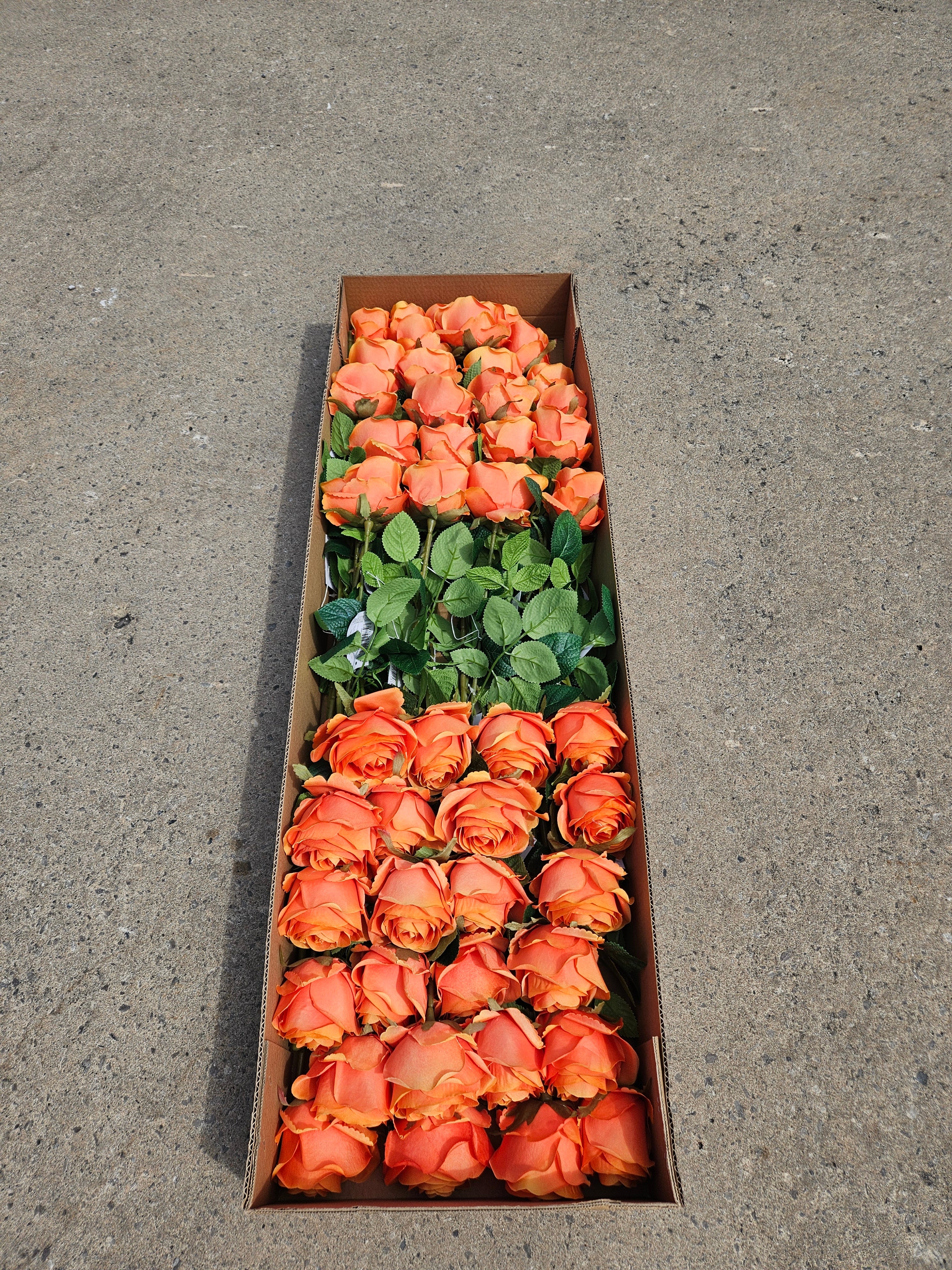 AUTUMN OFFER - Box of 48 Orange Harper Roses
