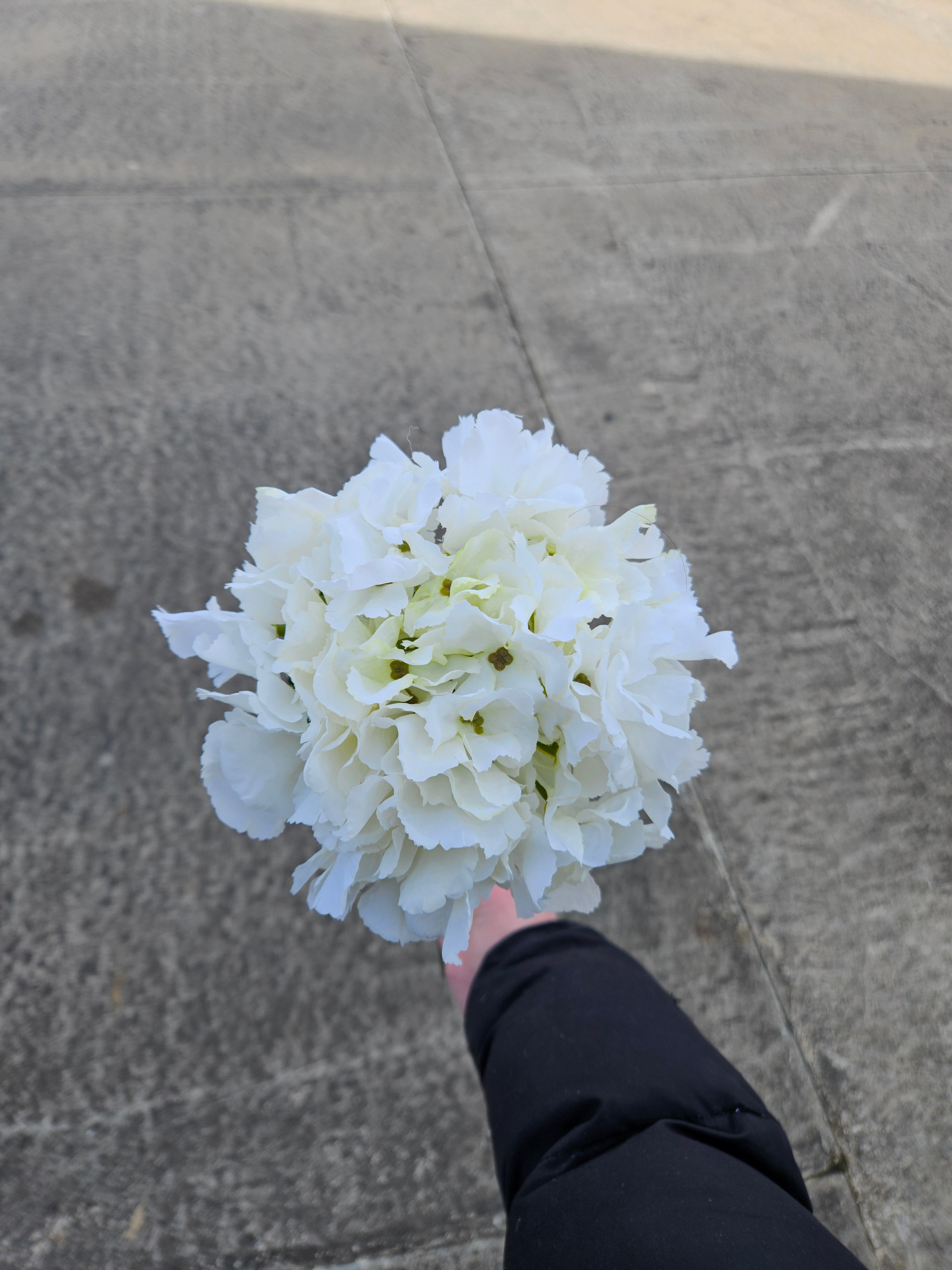 Ivory Dry Touch Hydrangea