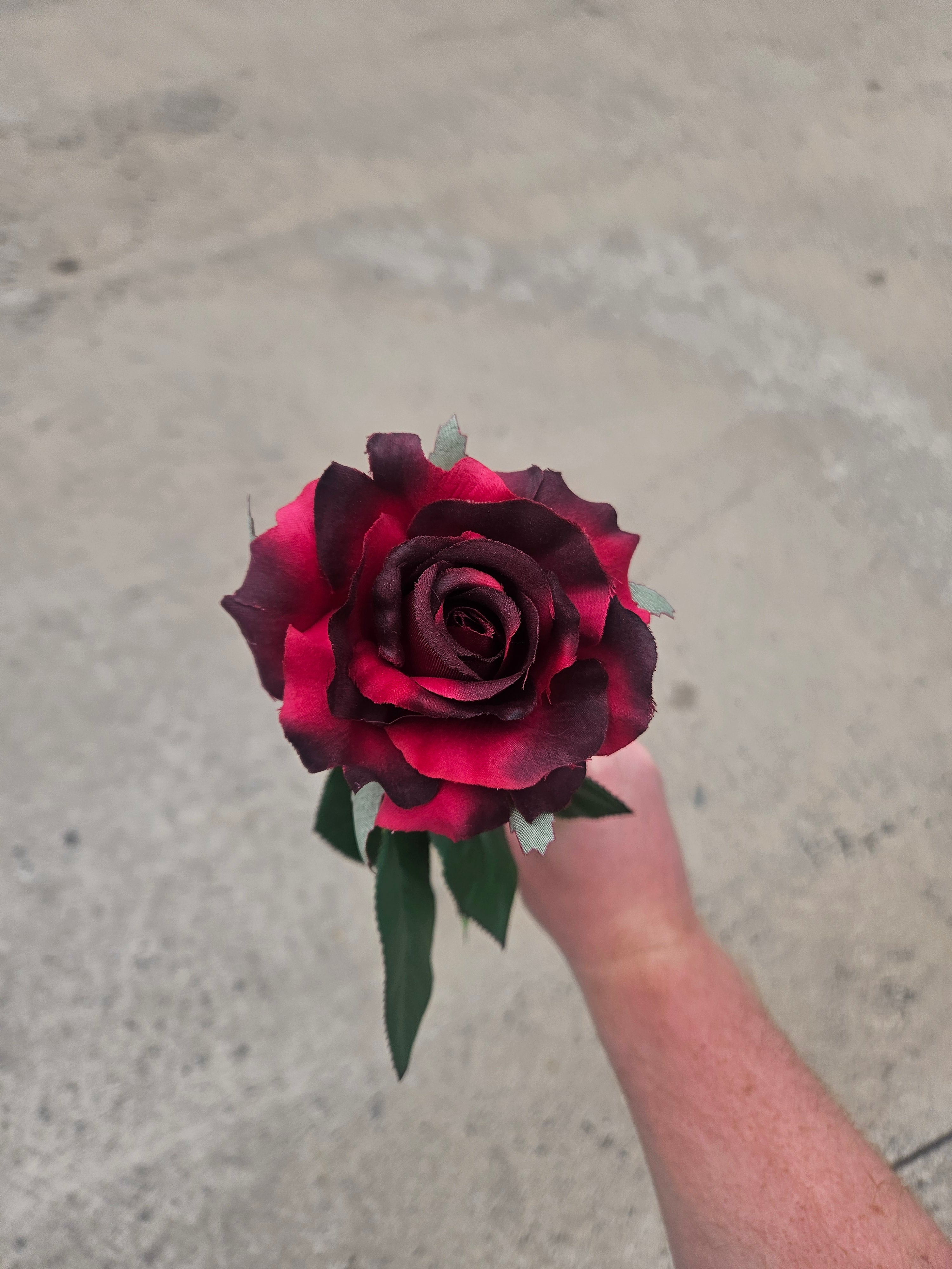 Thin Stem Burgundy Rose