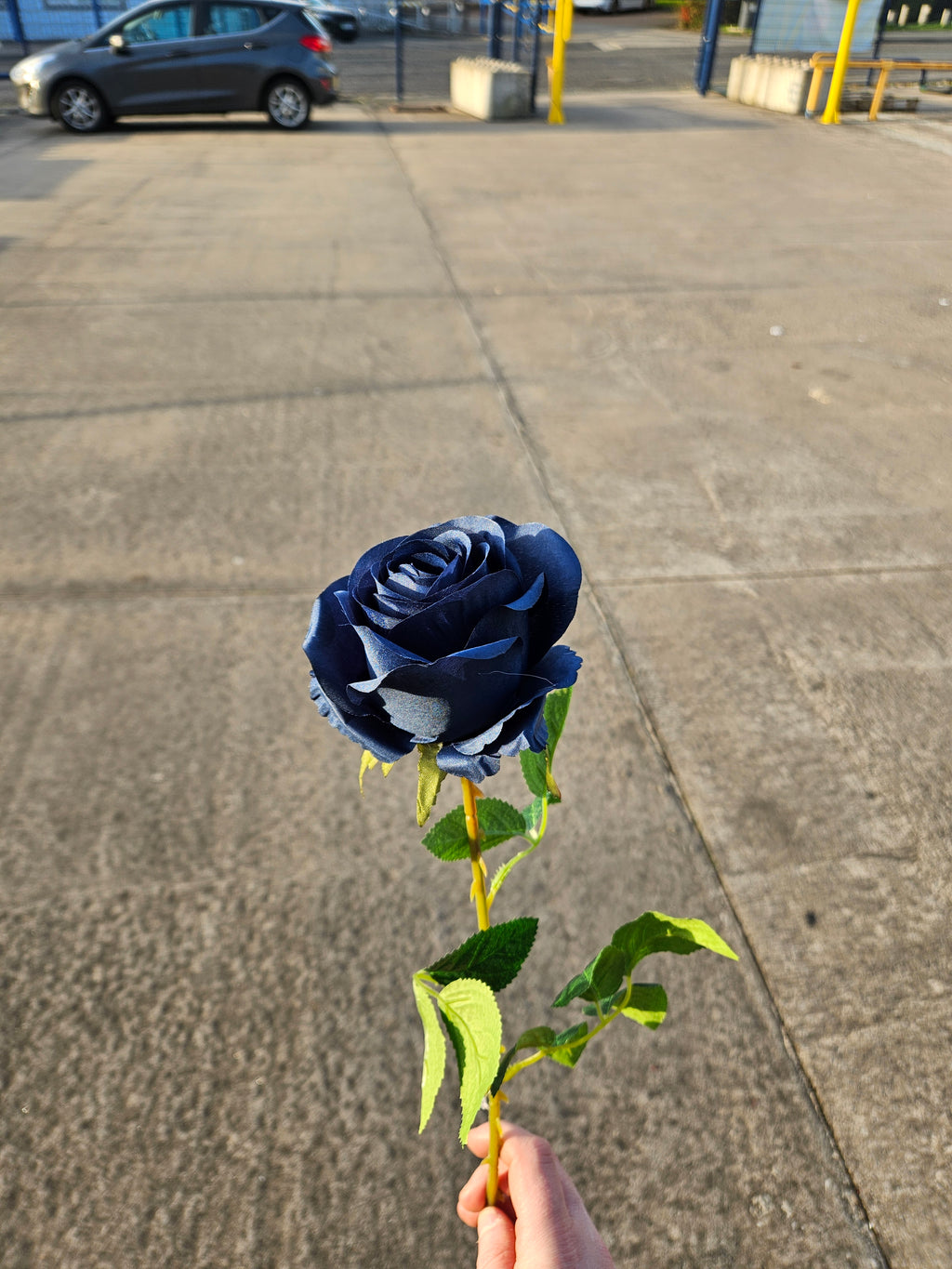 Navy Harper Rose